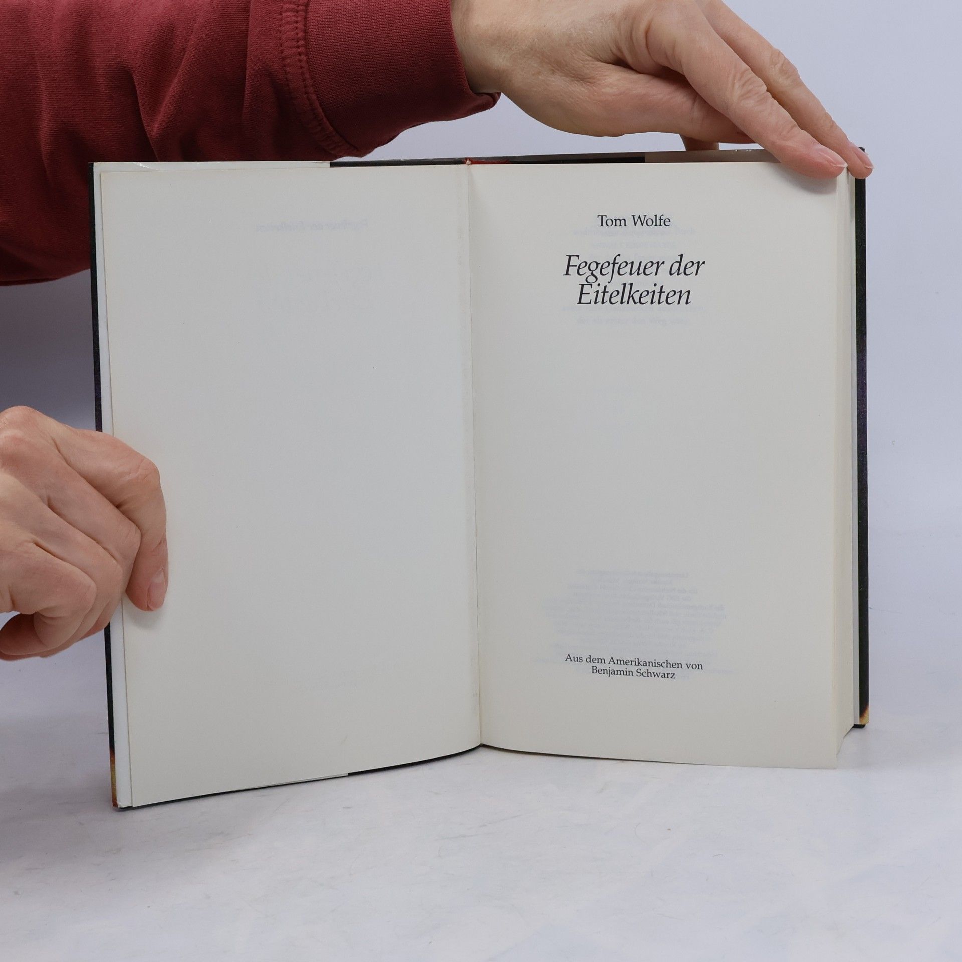 Tom Wolfe Fegefeuer der Eitelkeiten