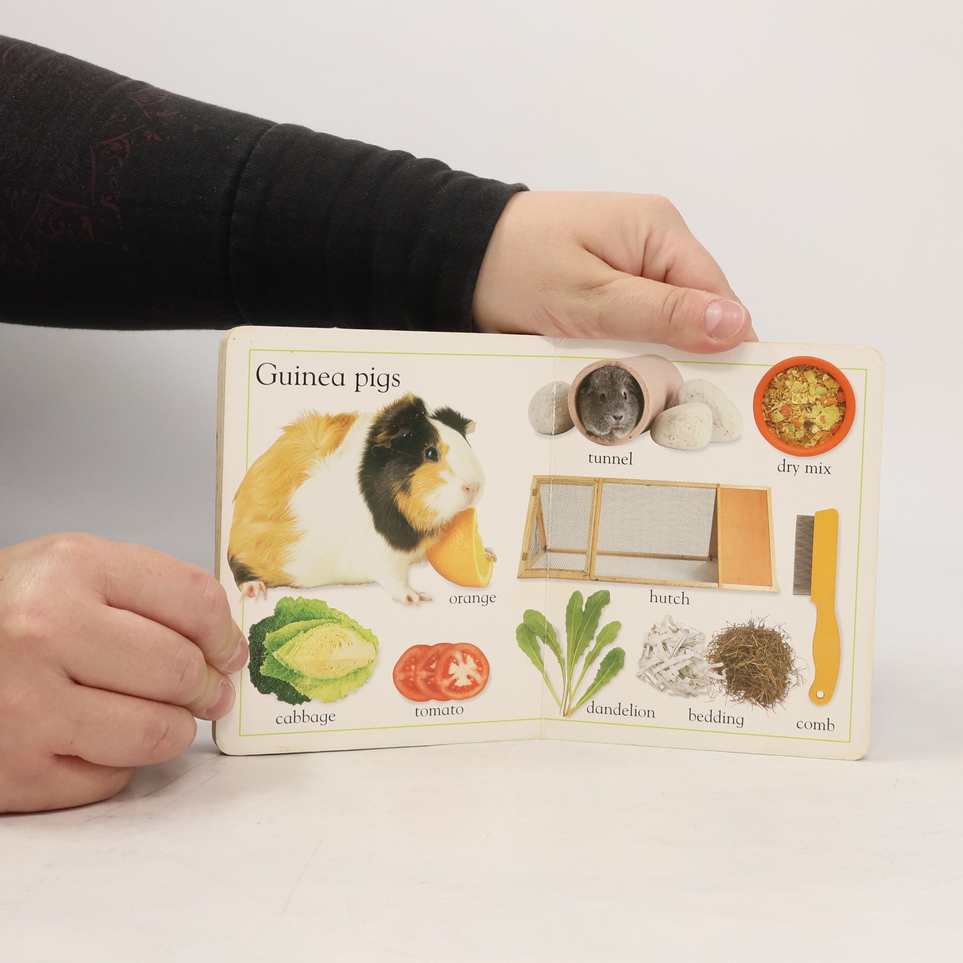 Paul O'Keeffe My First Pets Board Book