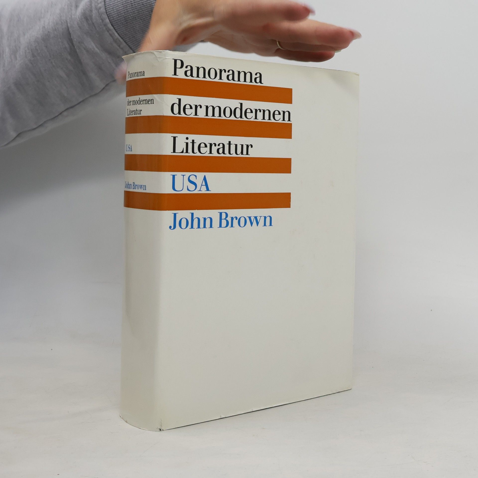 Panorama der modernen Literatur. USA