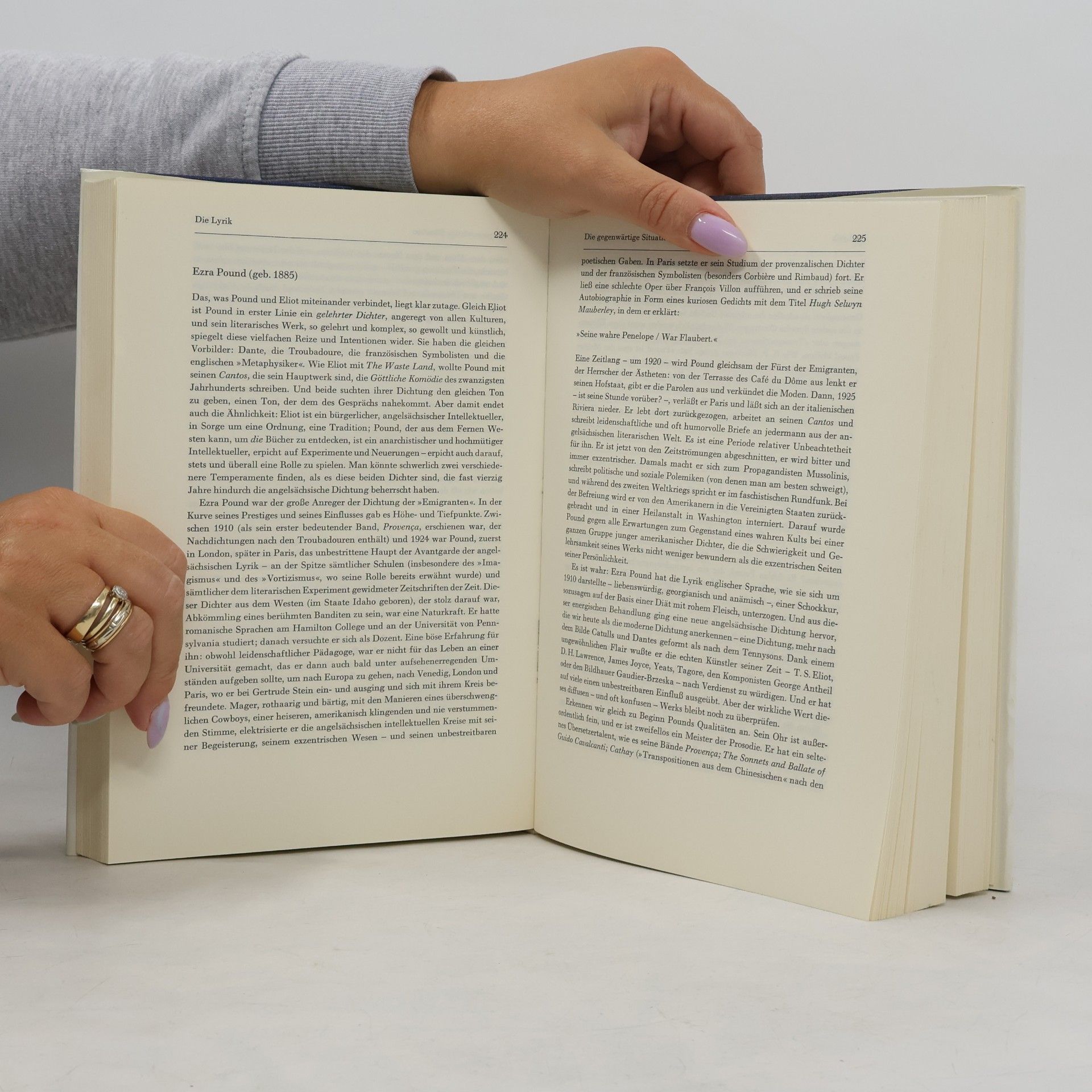 John Brown Panorama der modernen Literatur. USA