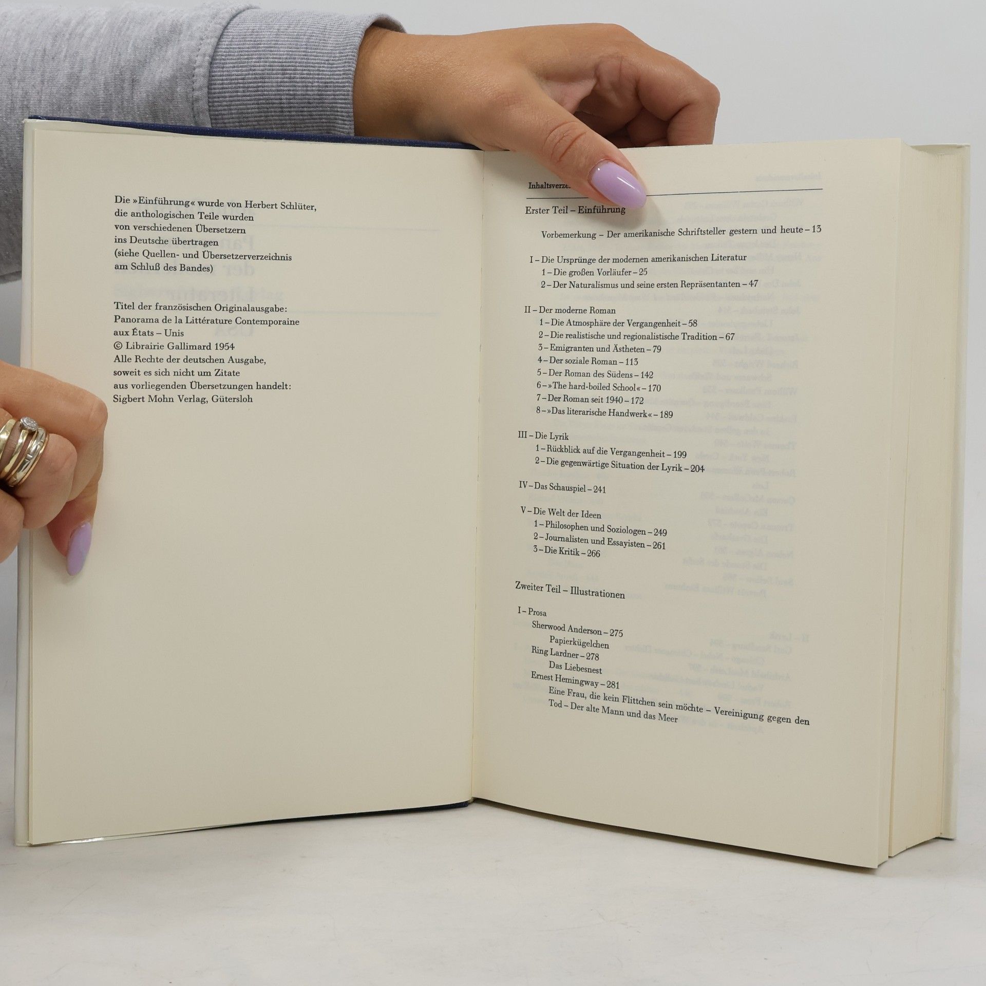 John Brown Panorama der modernen Literatur. USA