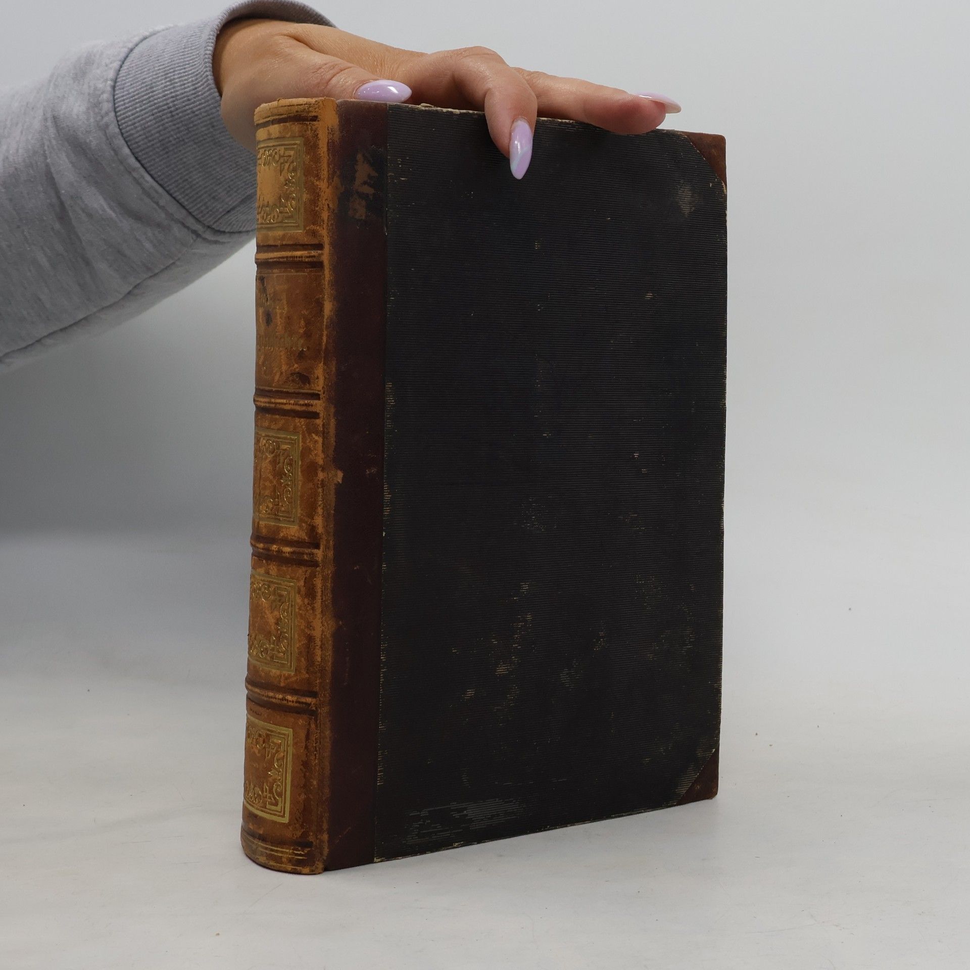 Lehrbuch der Weltgeschichte mit Rücksicht auf Cultur, Literatur und Religionswesen, und einem Abriß der deutschen Literaturgeschichte als Anhang. Zweiter Band.