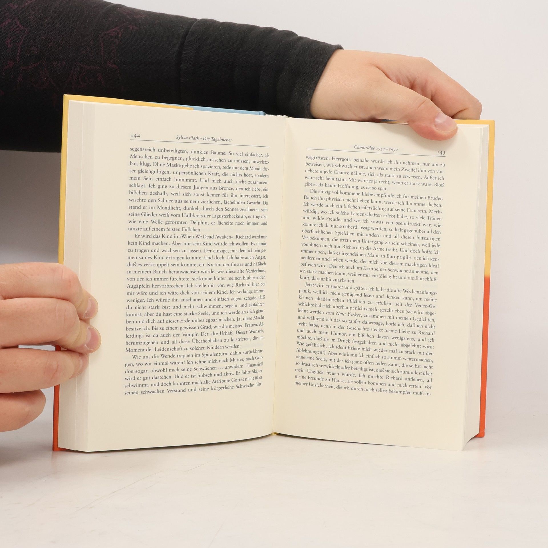 Sylvia Plath Die Tagebücher