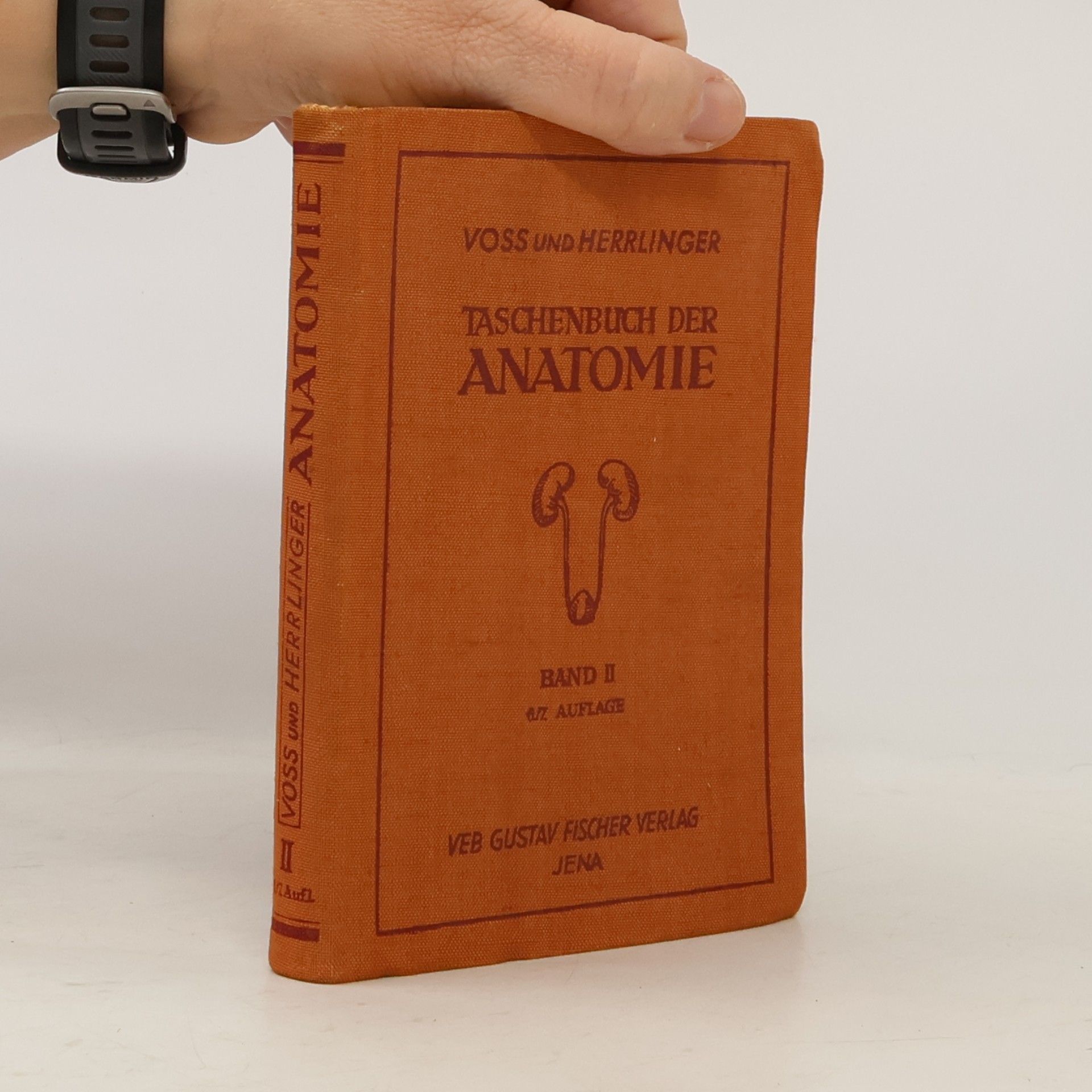 Hermann Voss Taschenbuch der Anatomie II