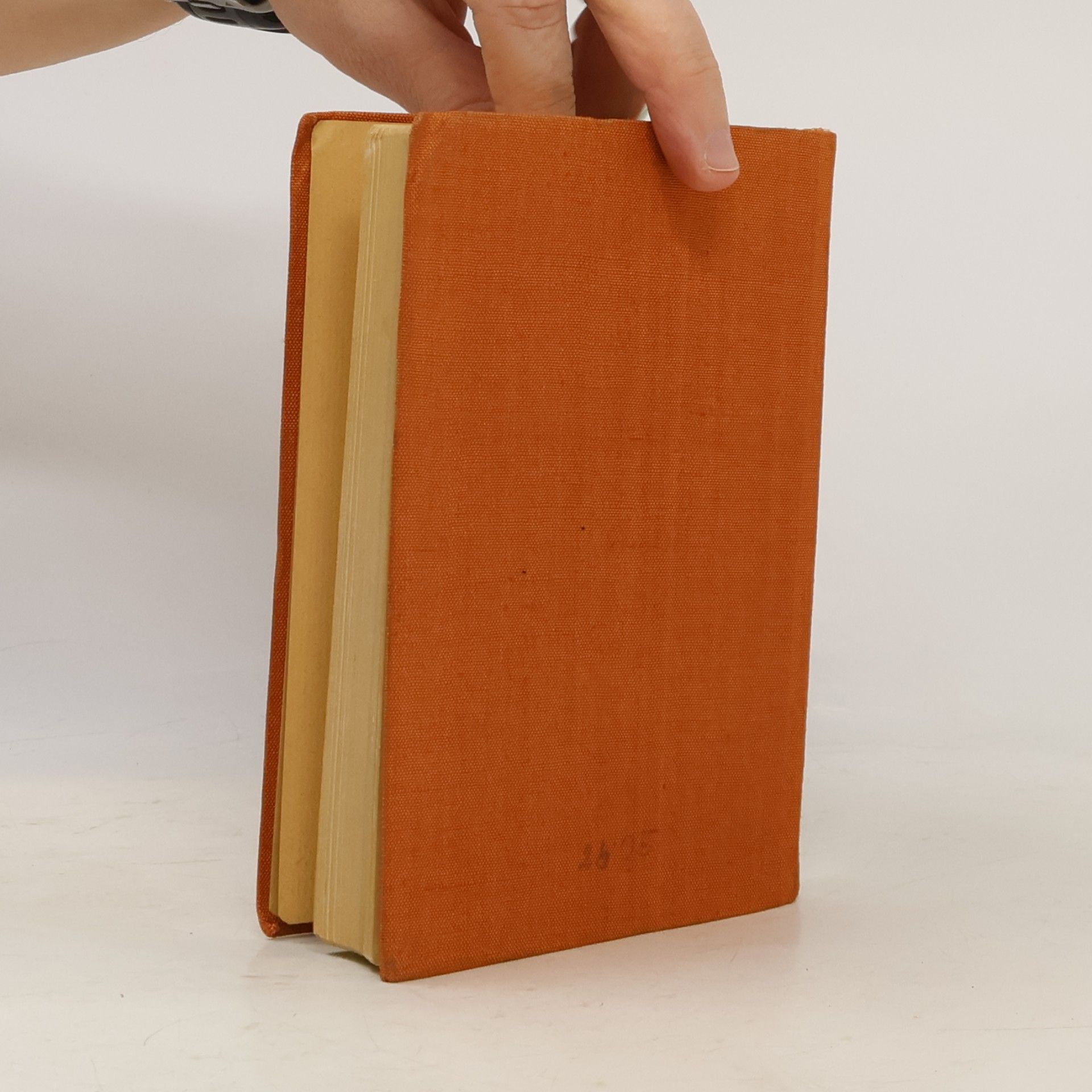 Hermann Voss Taschenbuch der Anatomie II