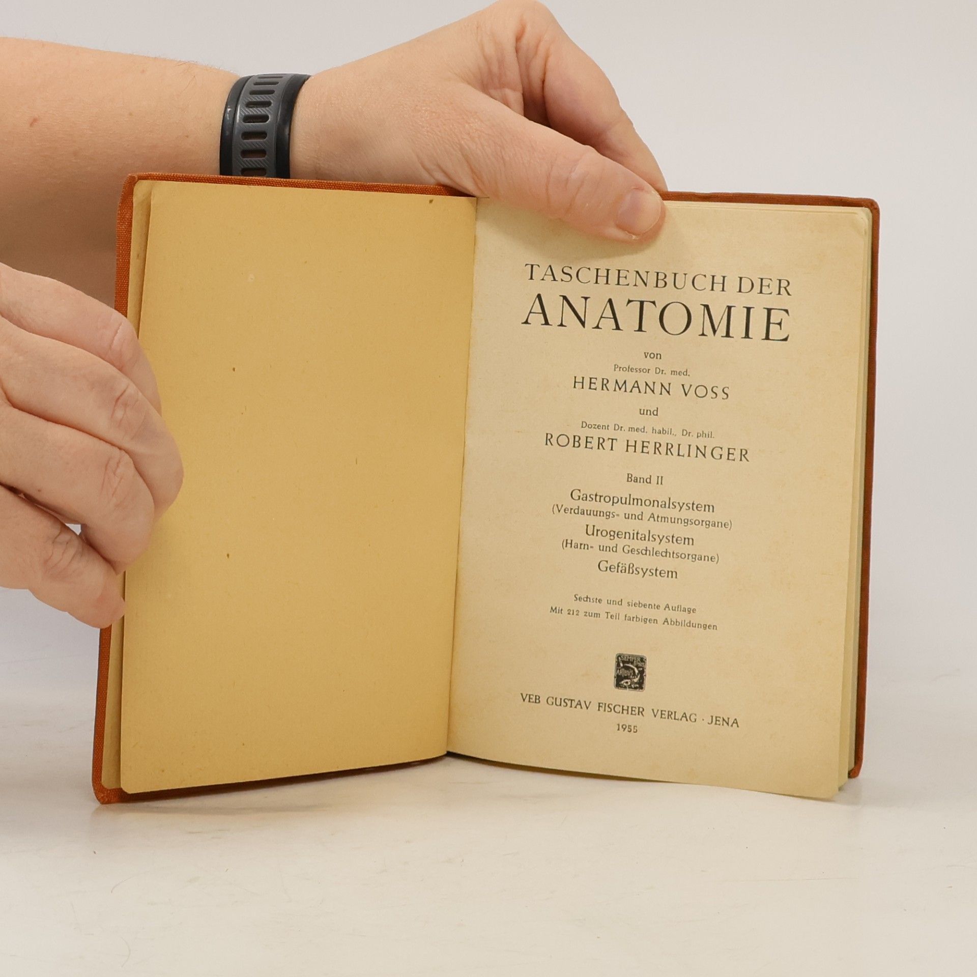 Hermann Voss Taschenbuch der Anatomie II