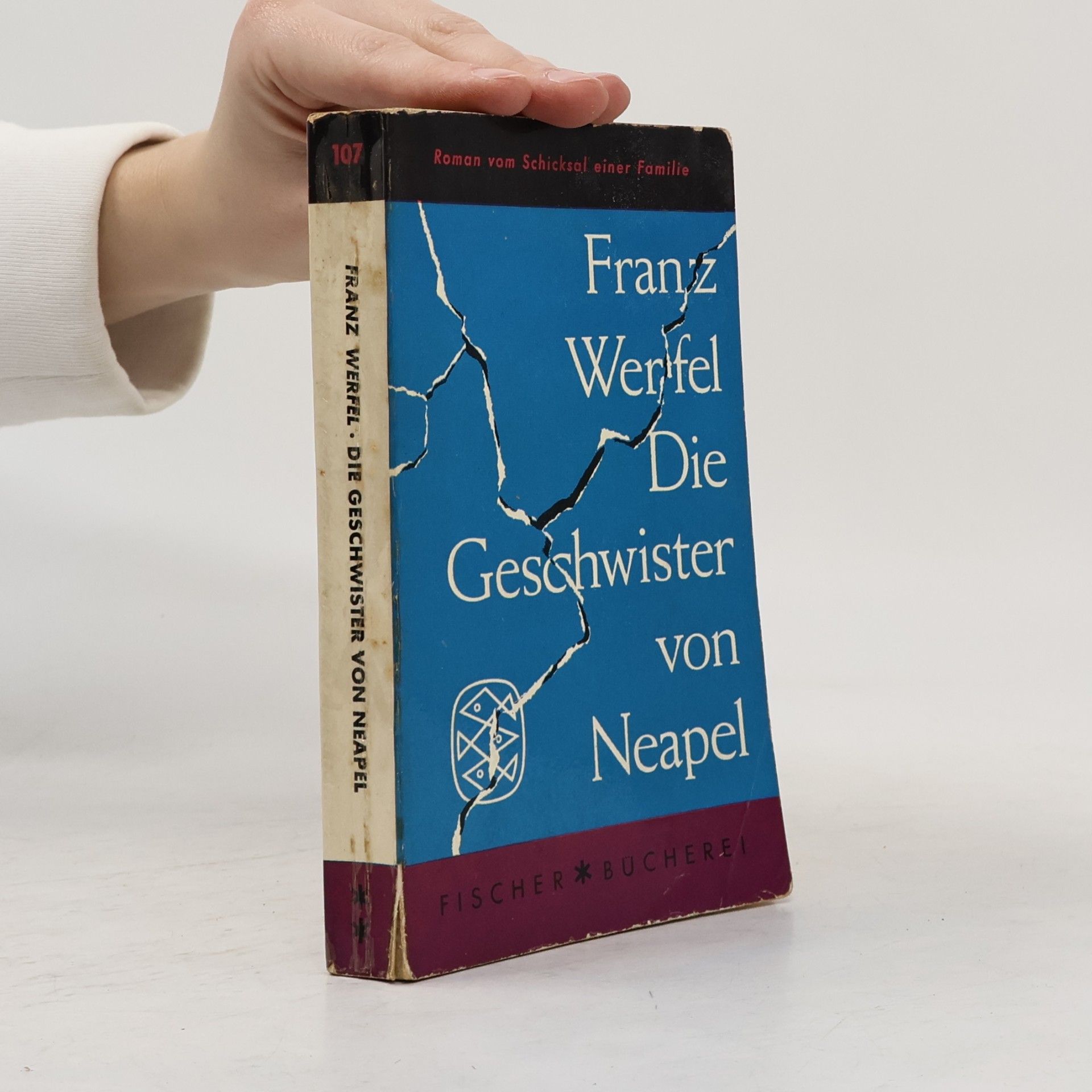 Franz Werfel Die Geschwister von Neapel