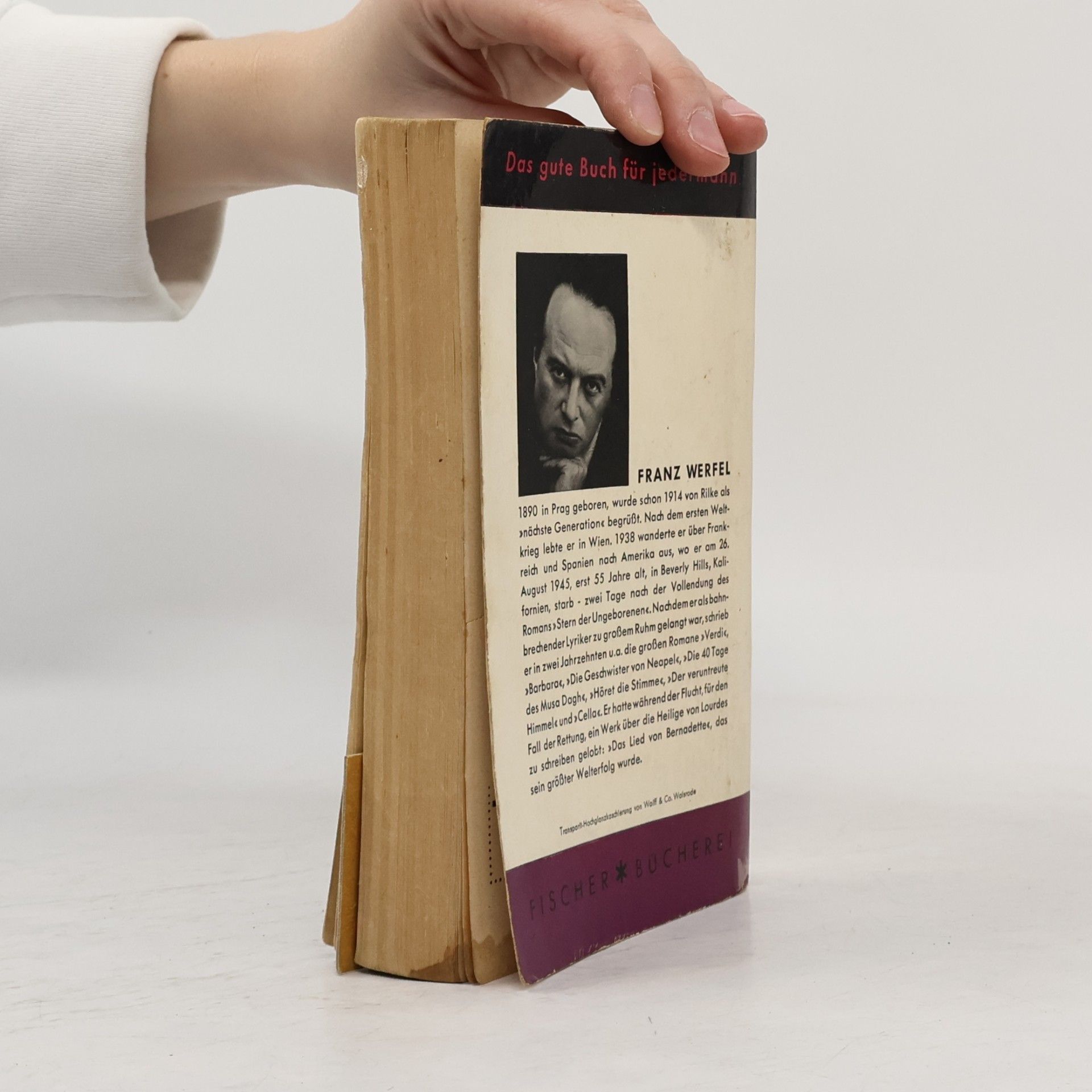 Franz Werfel Die Geschwister von Neapel