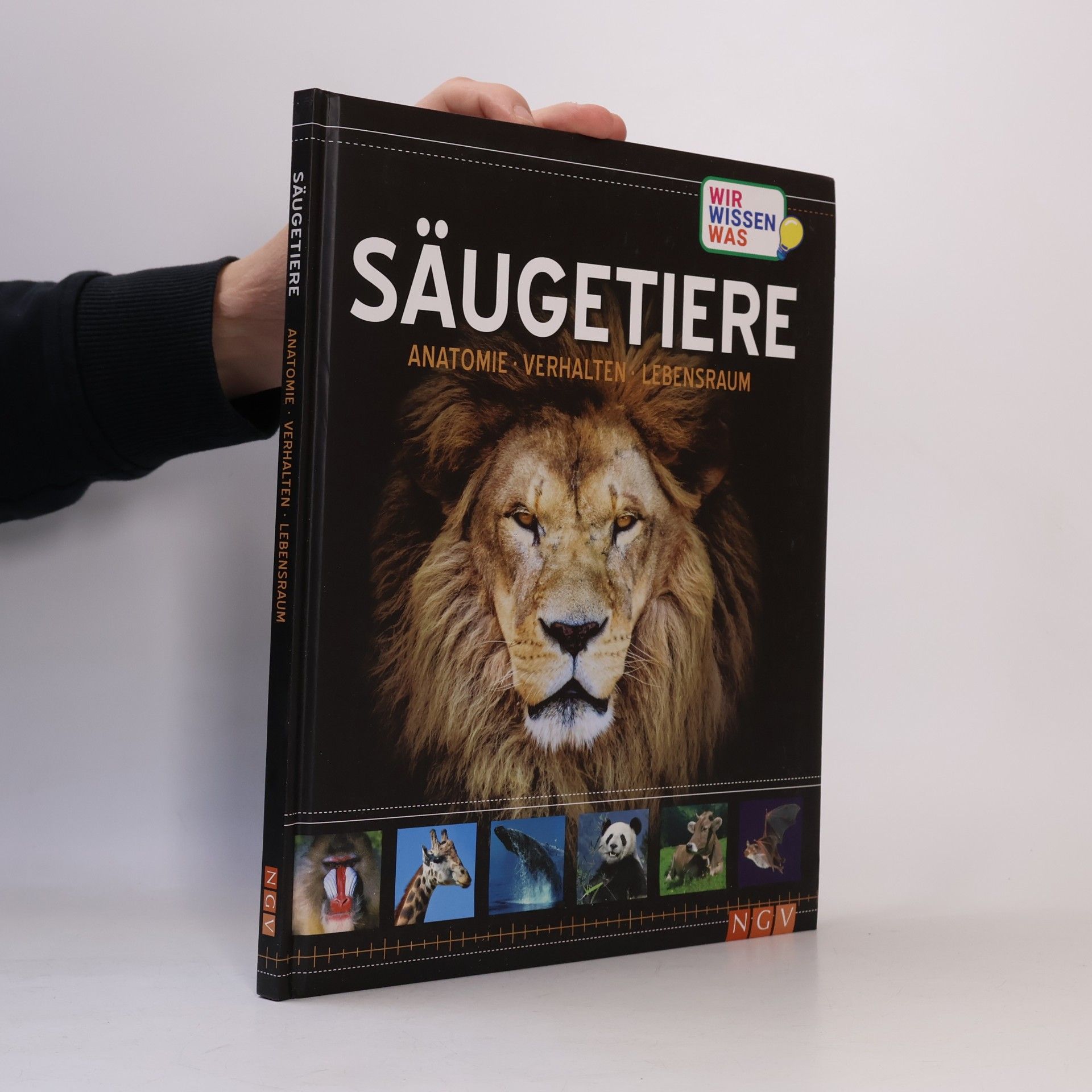 Autorenkollektiv Säugetiere. Anatomie, Verhalten, Lebensraum