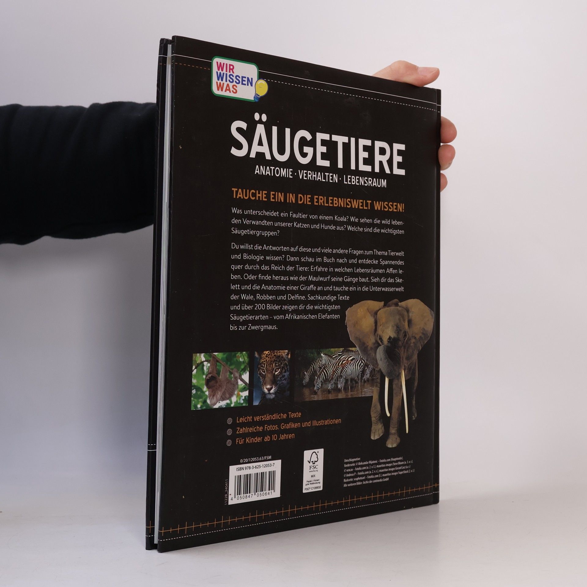 Autorenkollektiv Säugetiere. Anatomie, Verhalten, Lebensraum