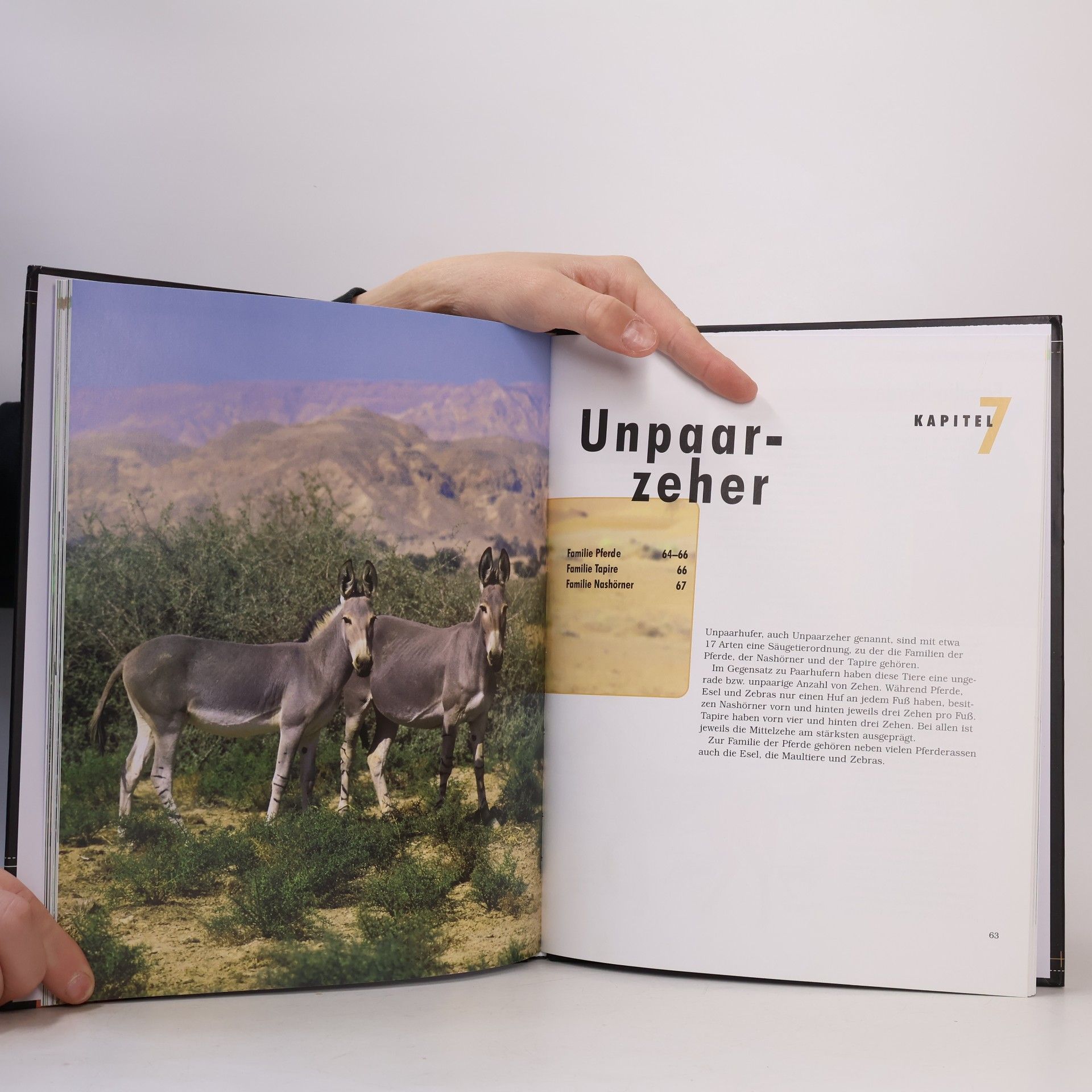 Autorenkollektiv Säugetiere. Anatomie, Verhalten, Lebensraum
