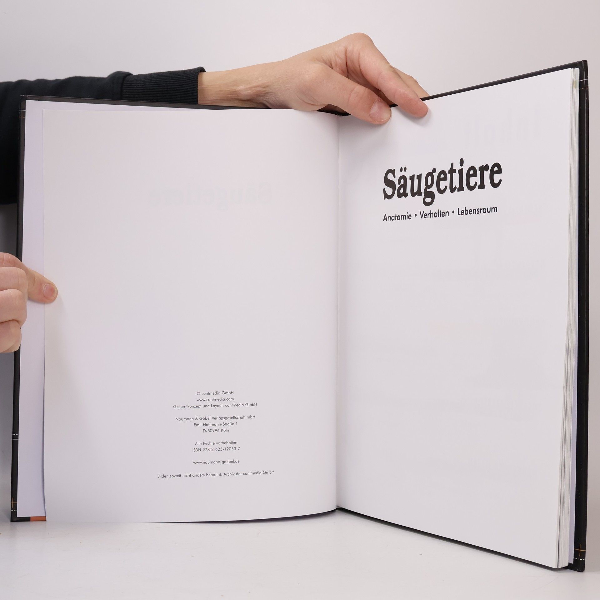 Autorenkollektiv Säugetiere. Anatomie, Verhalten, Lebensraum