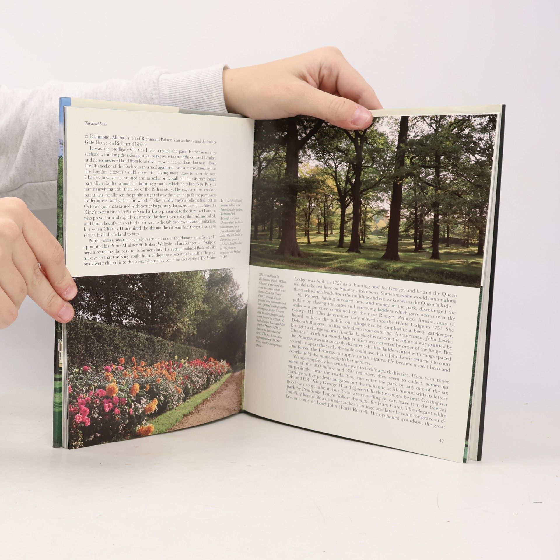 Marianne Brace London Parks and Gardens