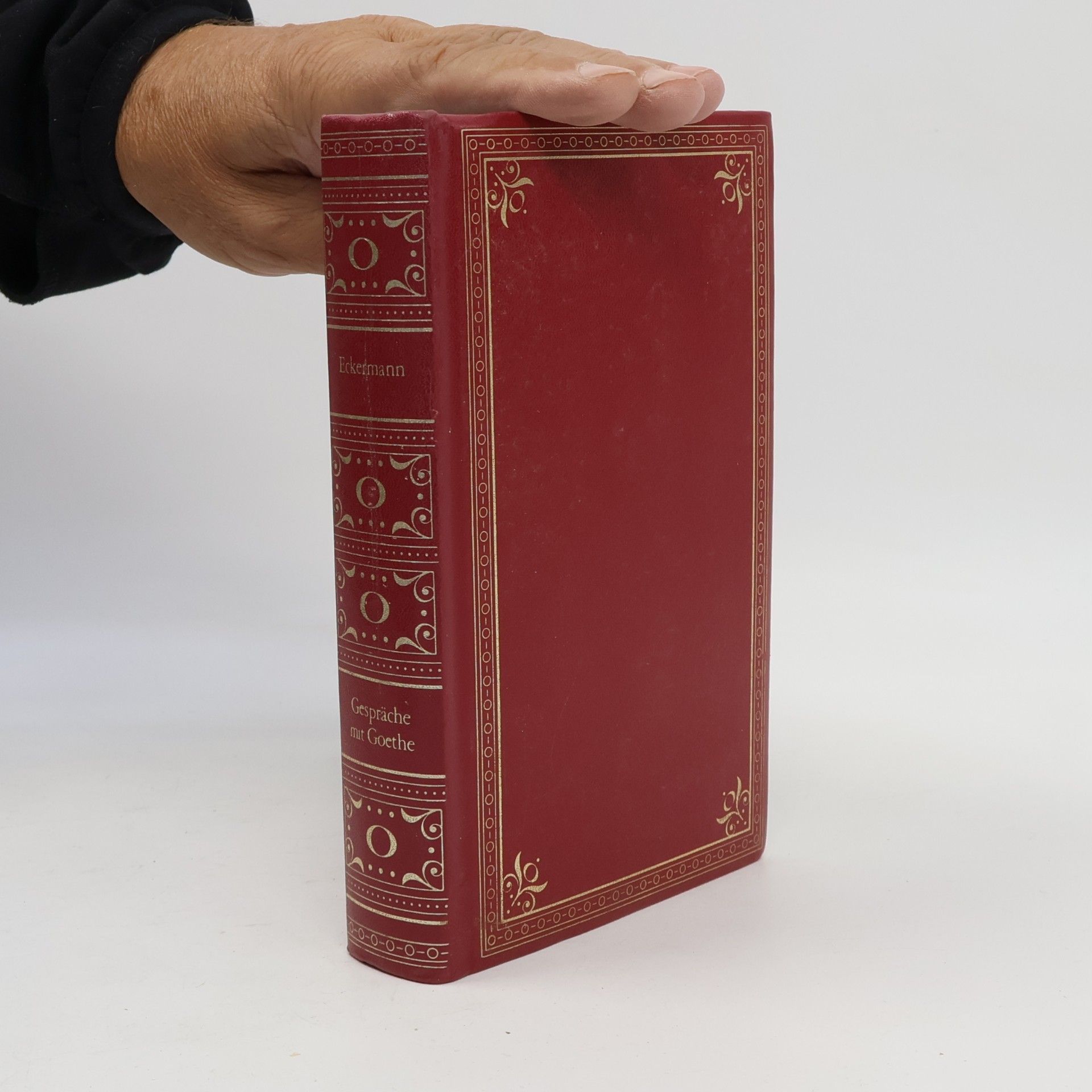 Gespräche mit Goethe
