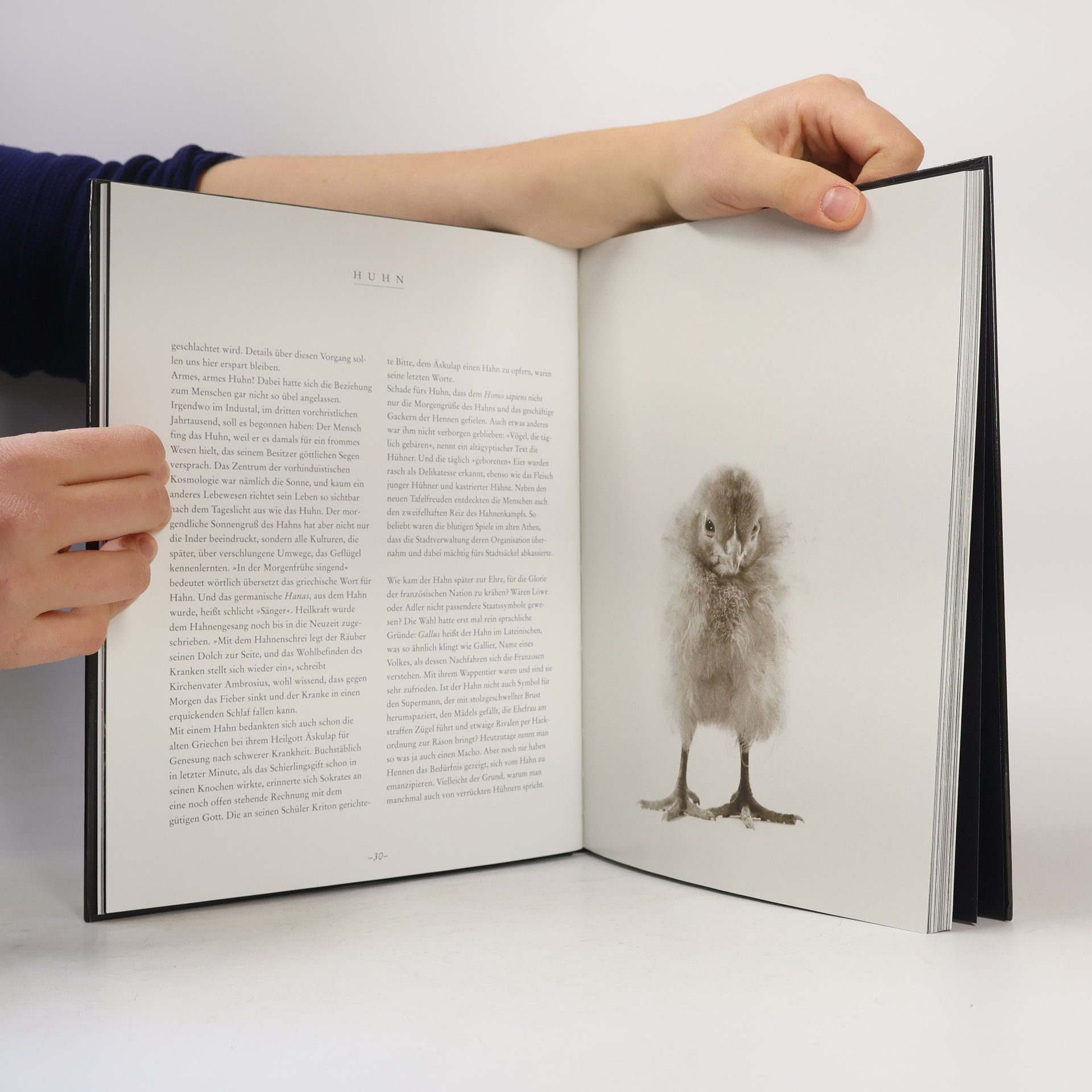 Walter Schels Die Seele der Tiere