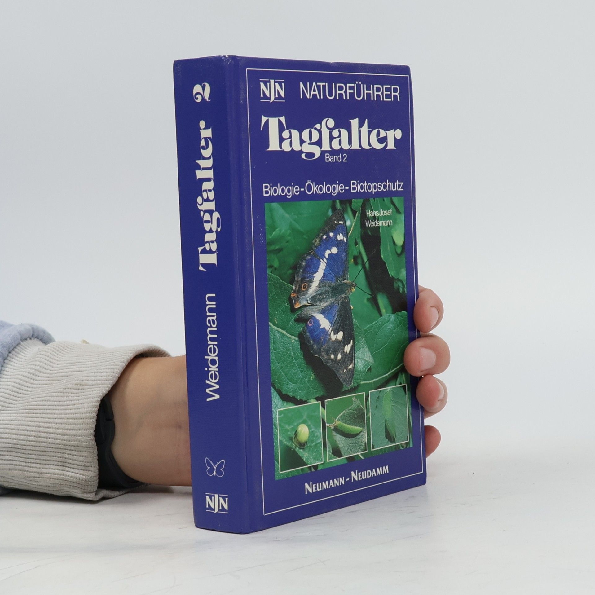 Tagfalter