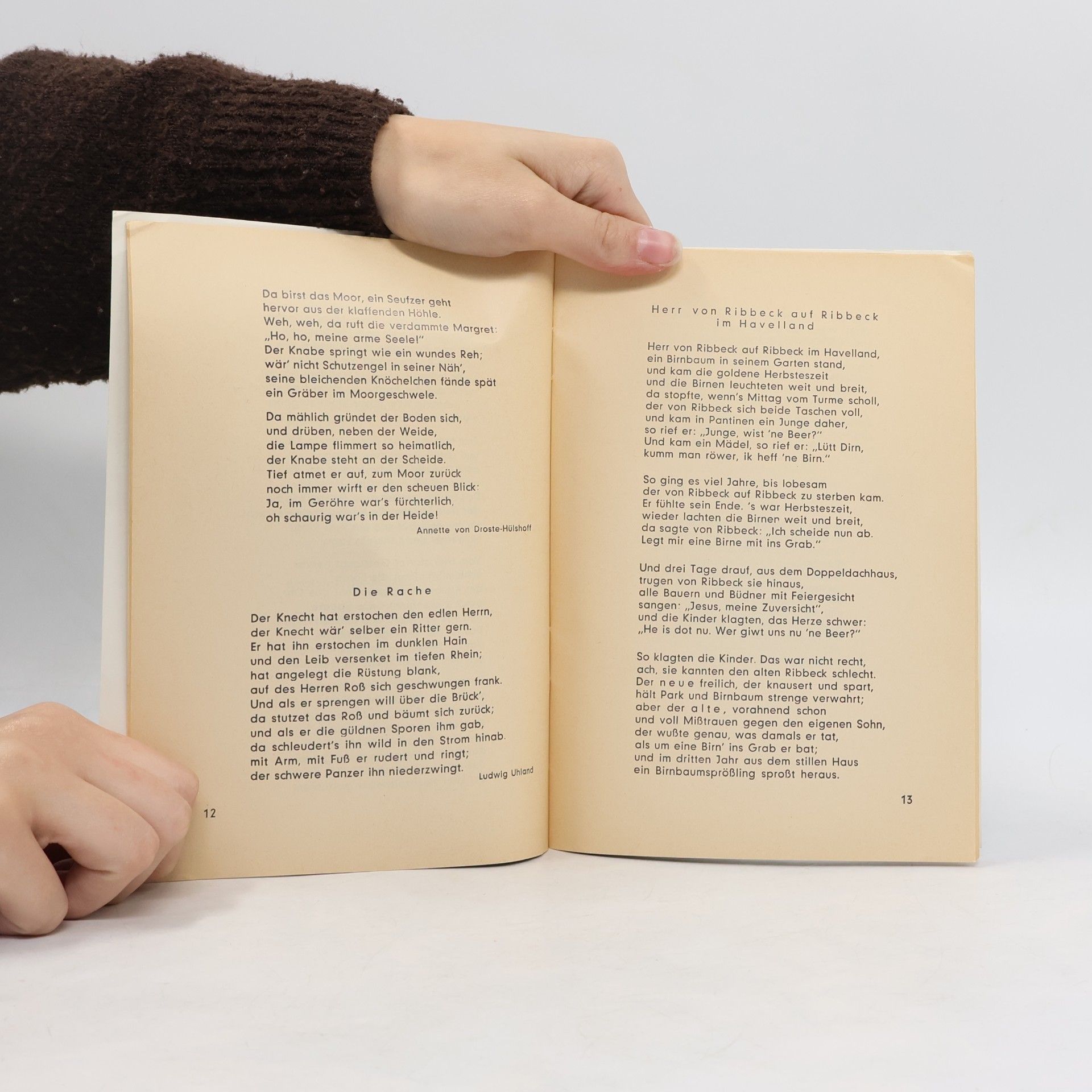 Ingeborg Strange-Friis Kleines Balladenbuch