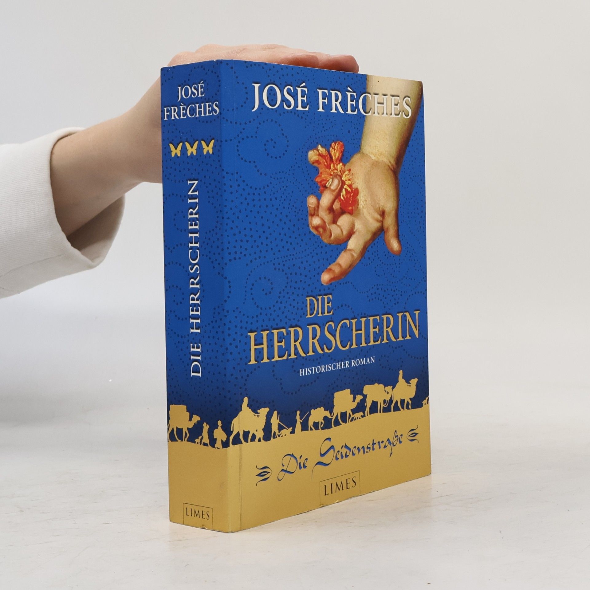 José Frèches Die Seidenstraße - Die Herrscherin. Historischer Roman