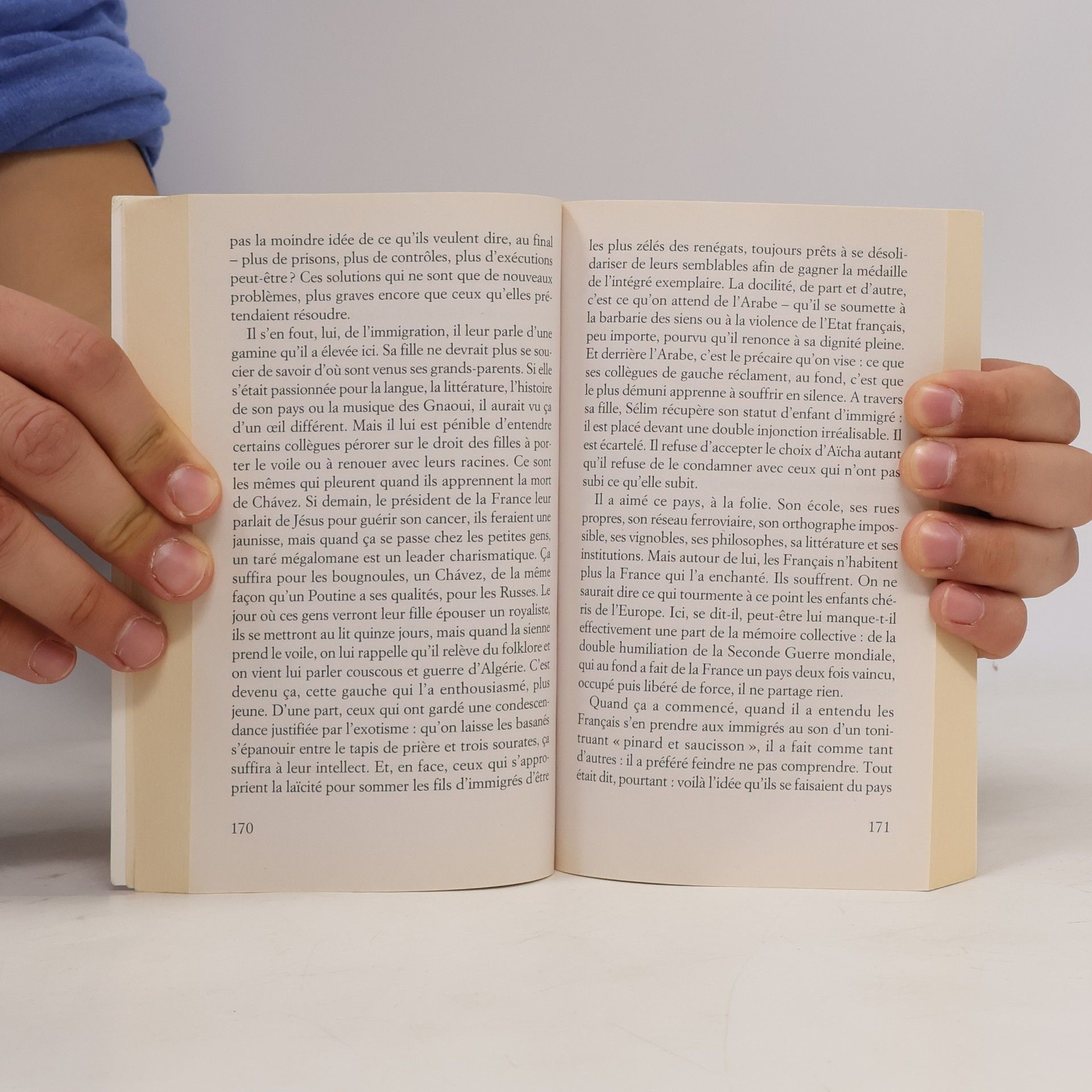 Virginie Despentes Vernon Subutex 2