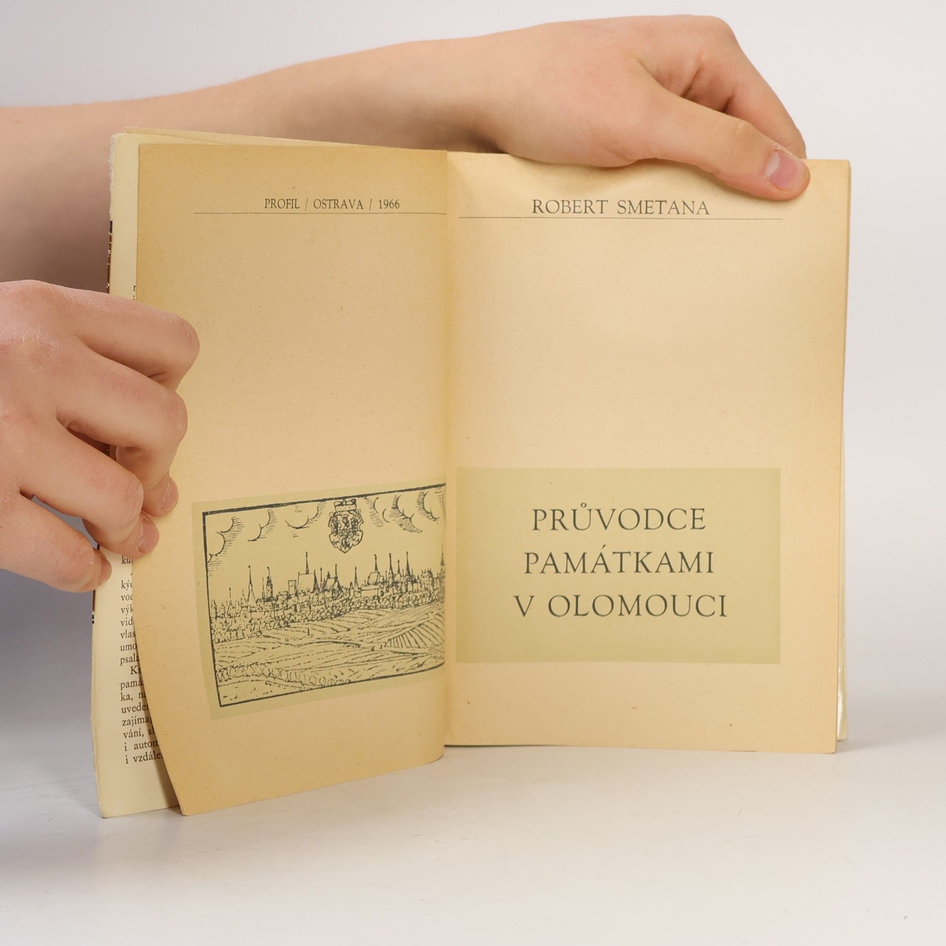 Robert Smetana Průvodce památkami v Olomouci