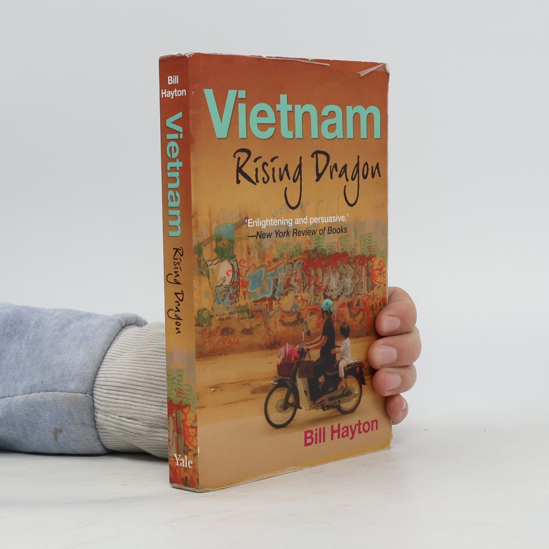 Bill Hayton Vietnam