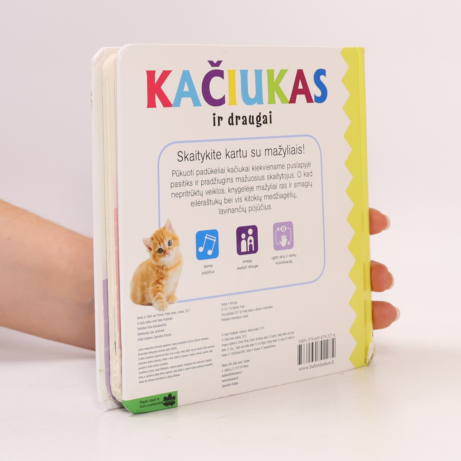 Reda Puodžiukė Kačiukas ir draugai