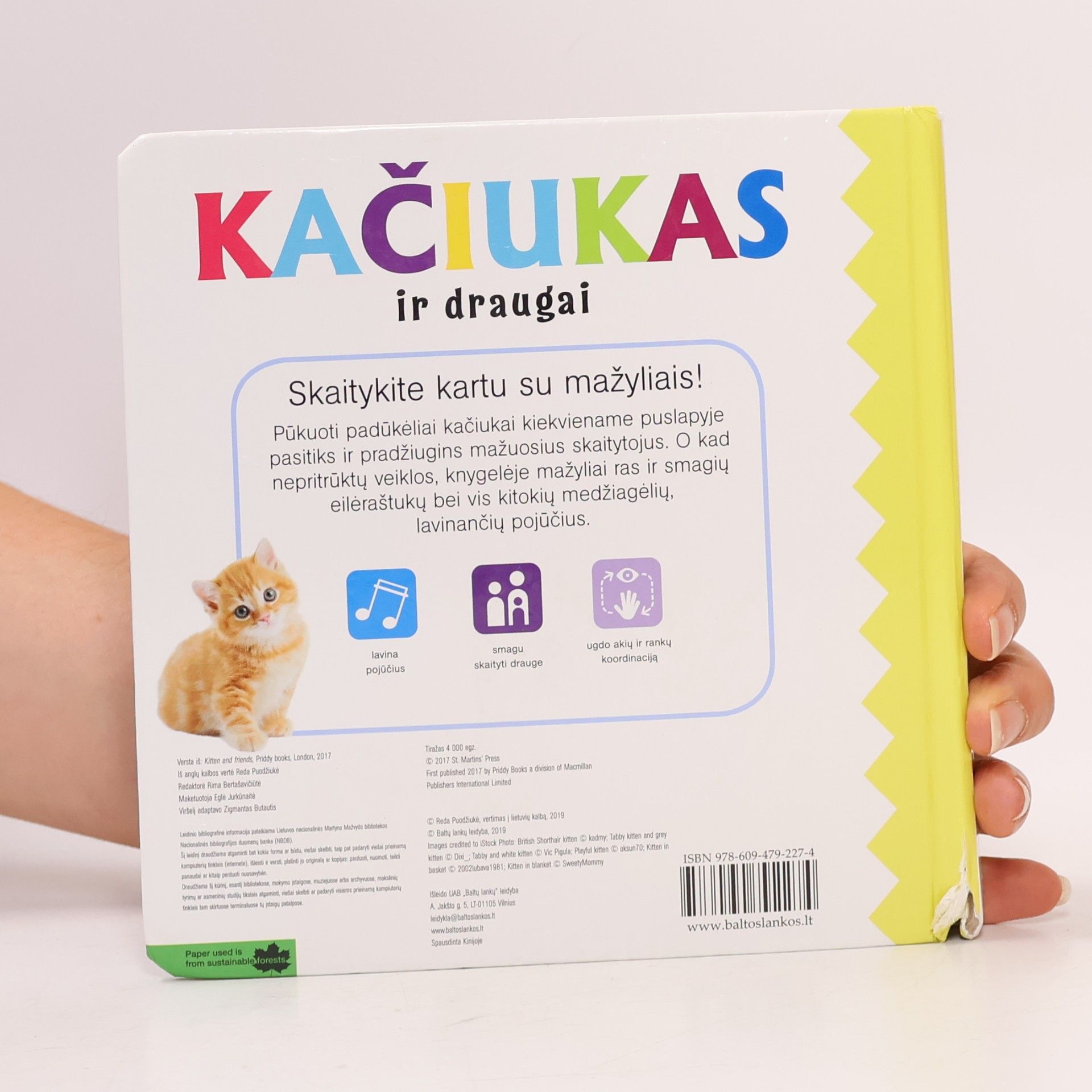 Reda Puodžiukė Kačiukas ir draugai