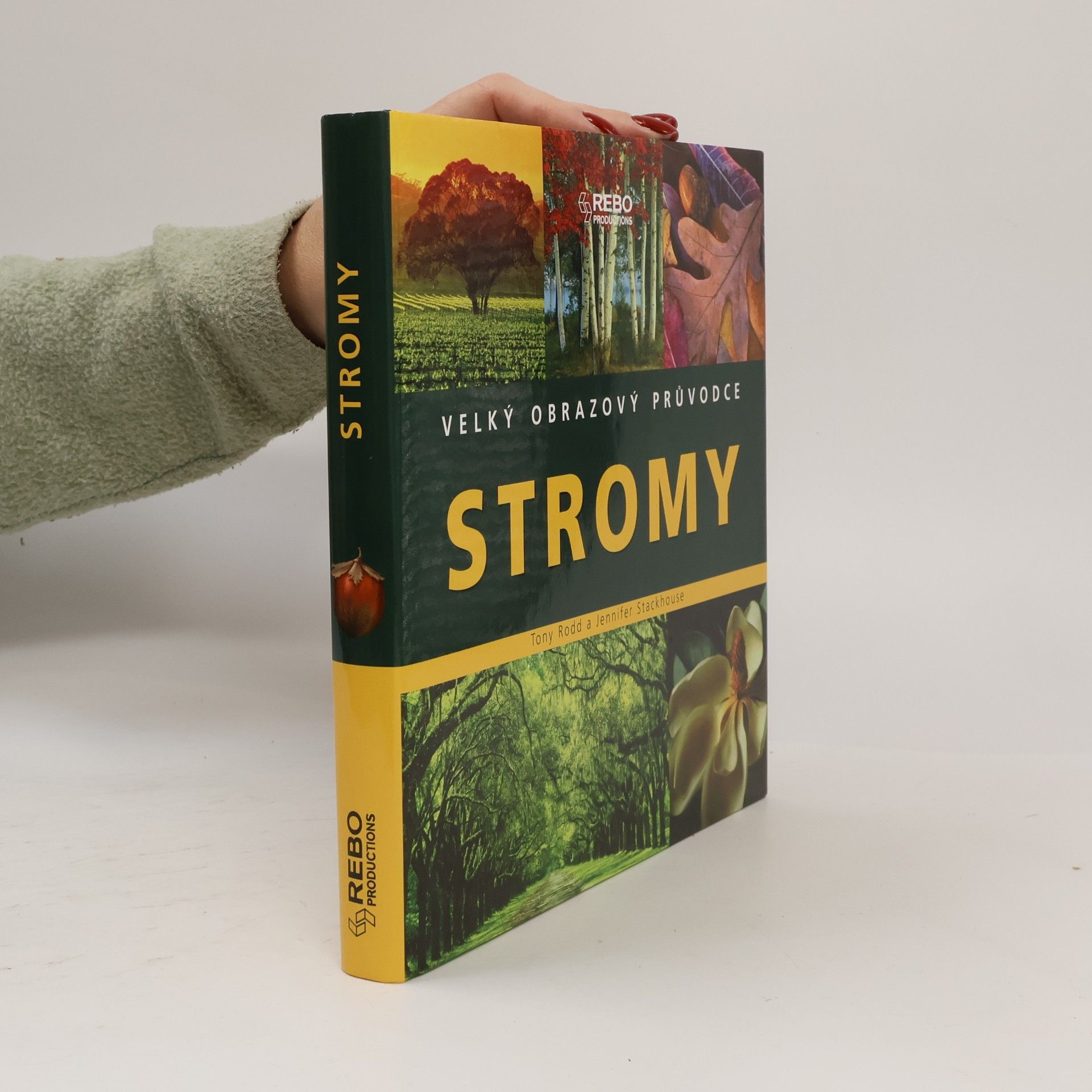 Stromy - Velký obrazový průvodce