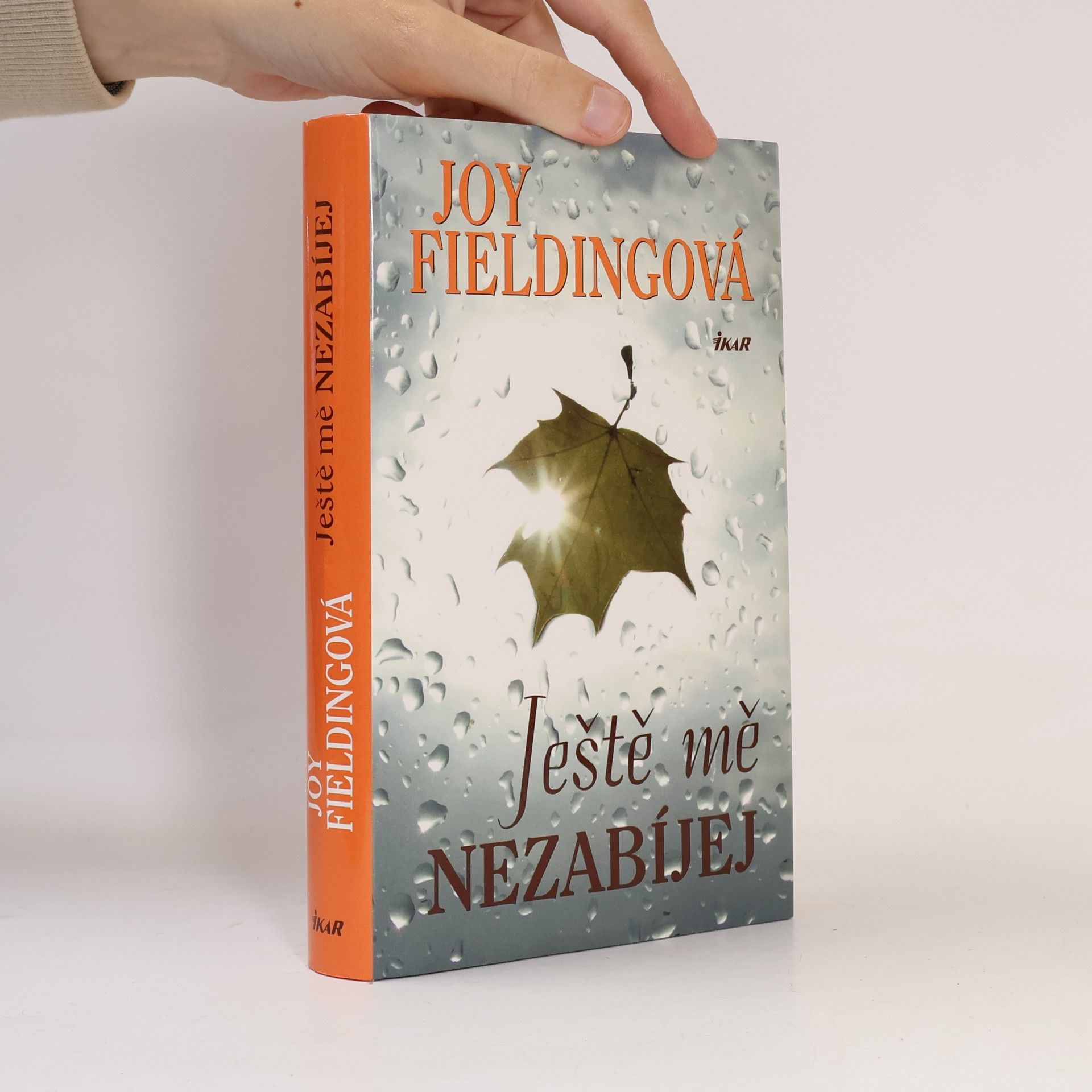 Joy Fielding Ještě mě nezabíjej