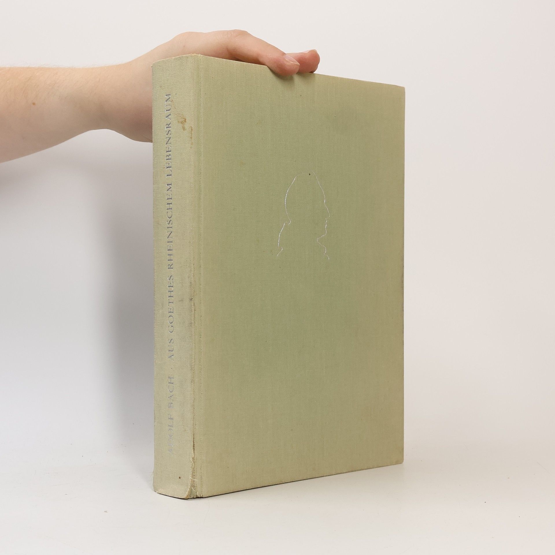 Aus Goethes rheinischem Lebensraum