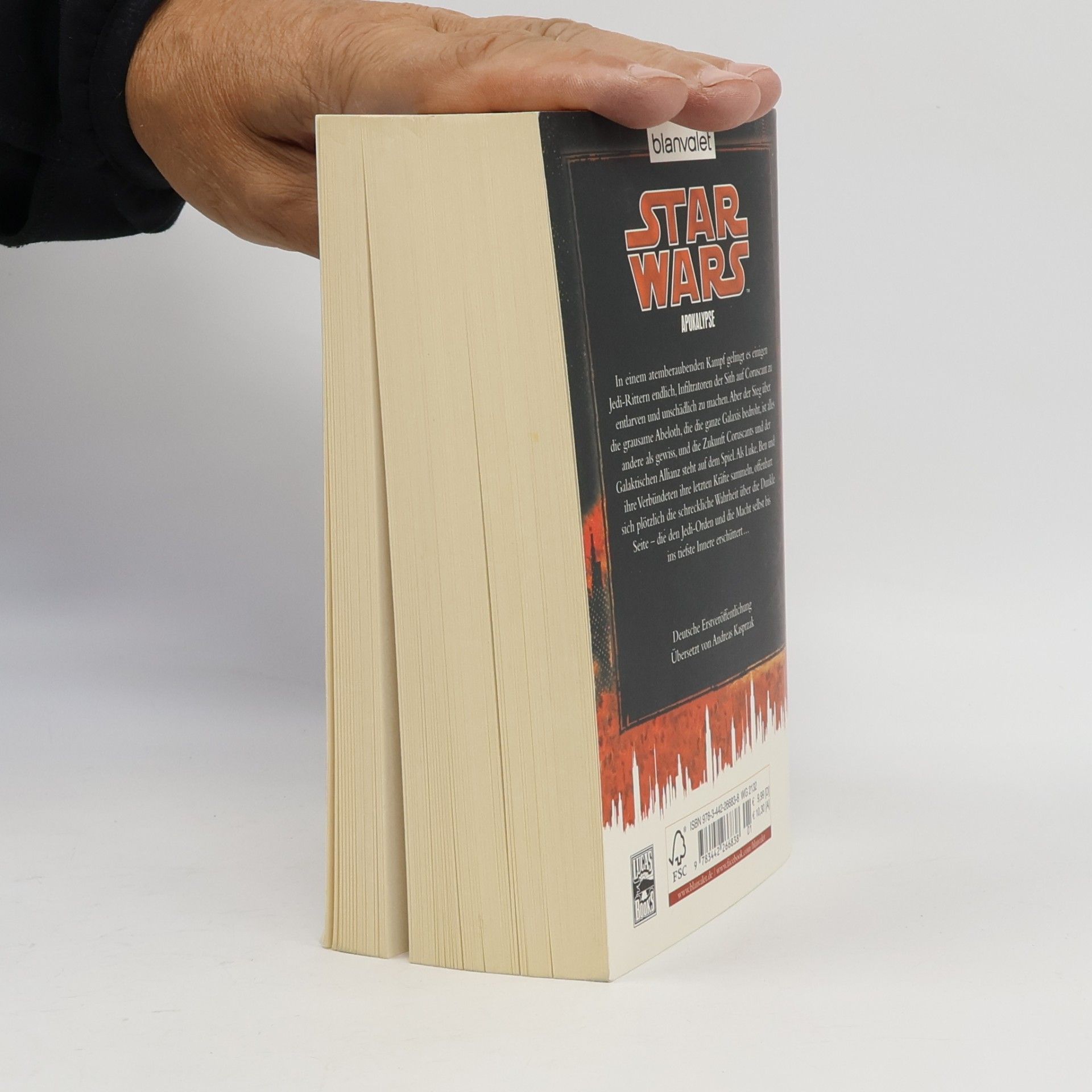 Troy Denning Star Wars, Das Verhängnis der Jedi-Ritter - Apokalypse