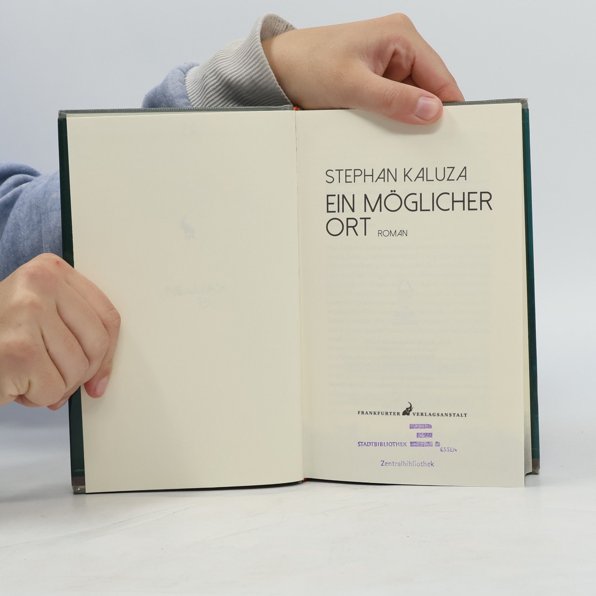 Stephan Kaluza Ein möglicher Ort