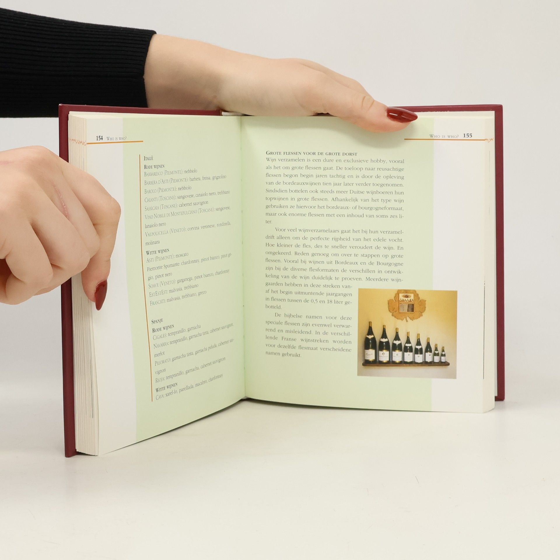 Handboek Wijn. Soorten, Smaken, Vaktermen, Culinaire Tips, Wijngebieden