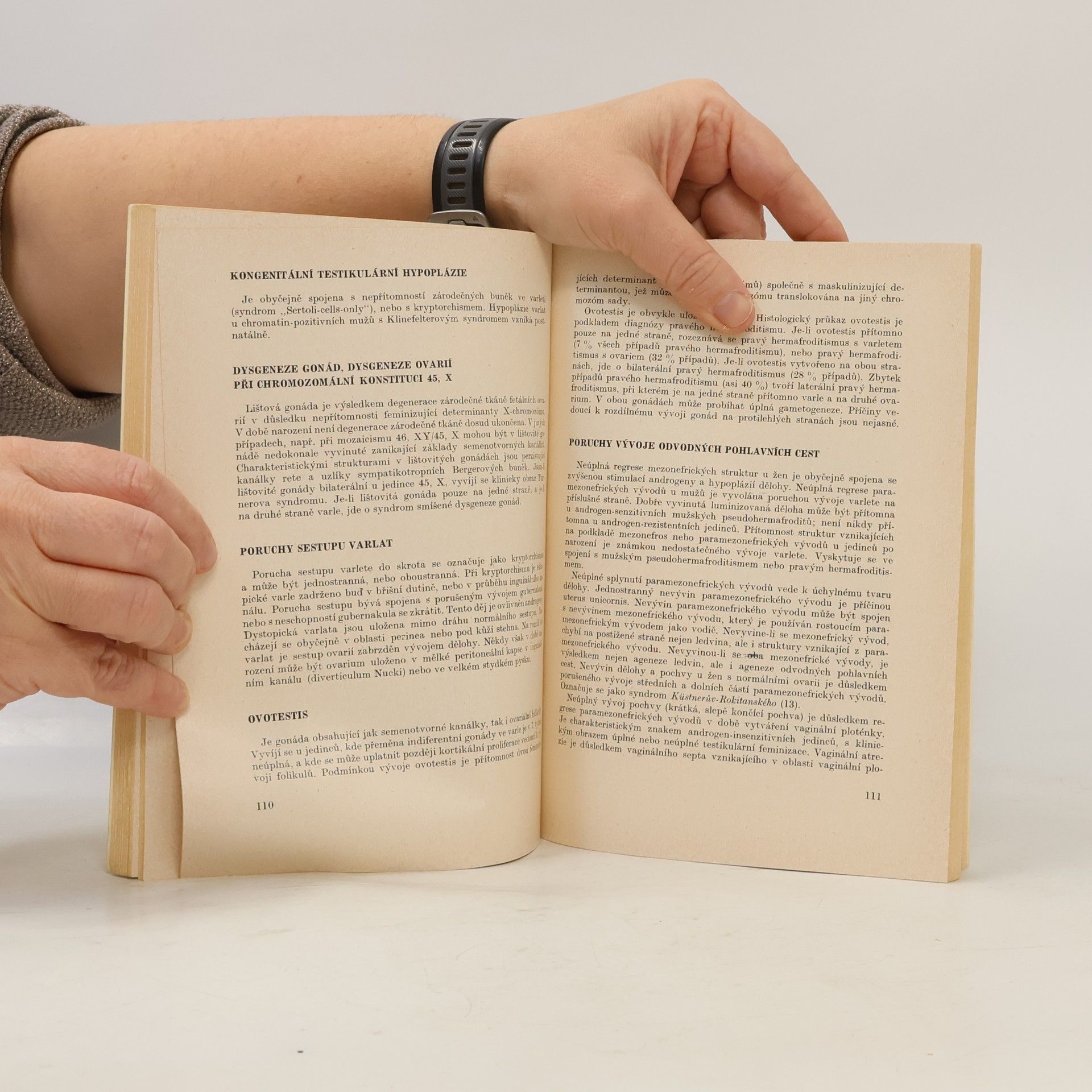 Autorenkollektiv Endokrinologie fetoplacentární jednotky