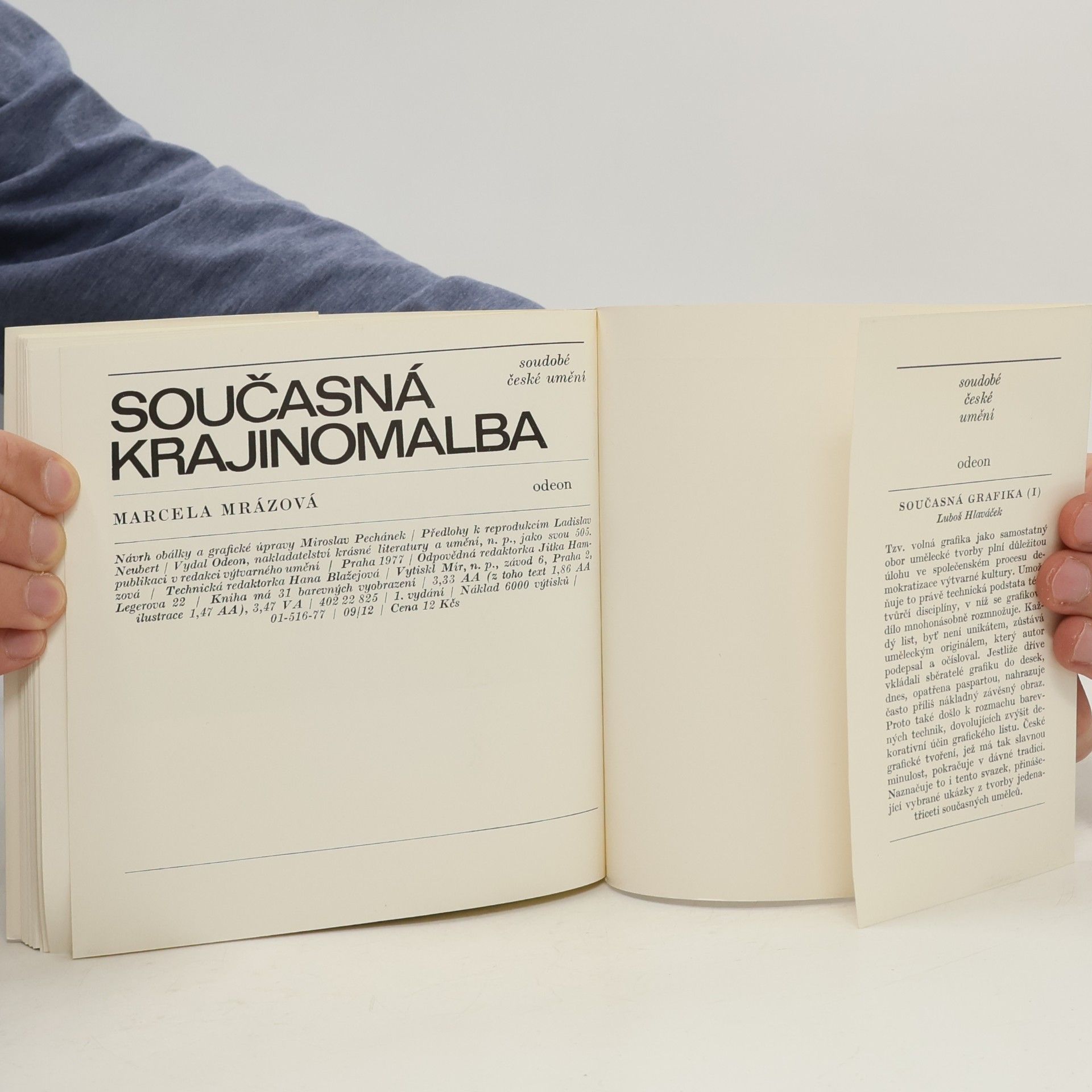 Marcela Mrázová Současná krajinomalba
