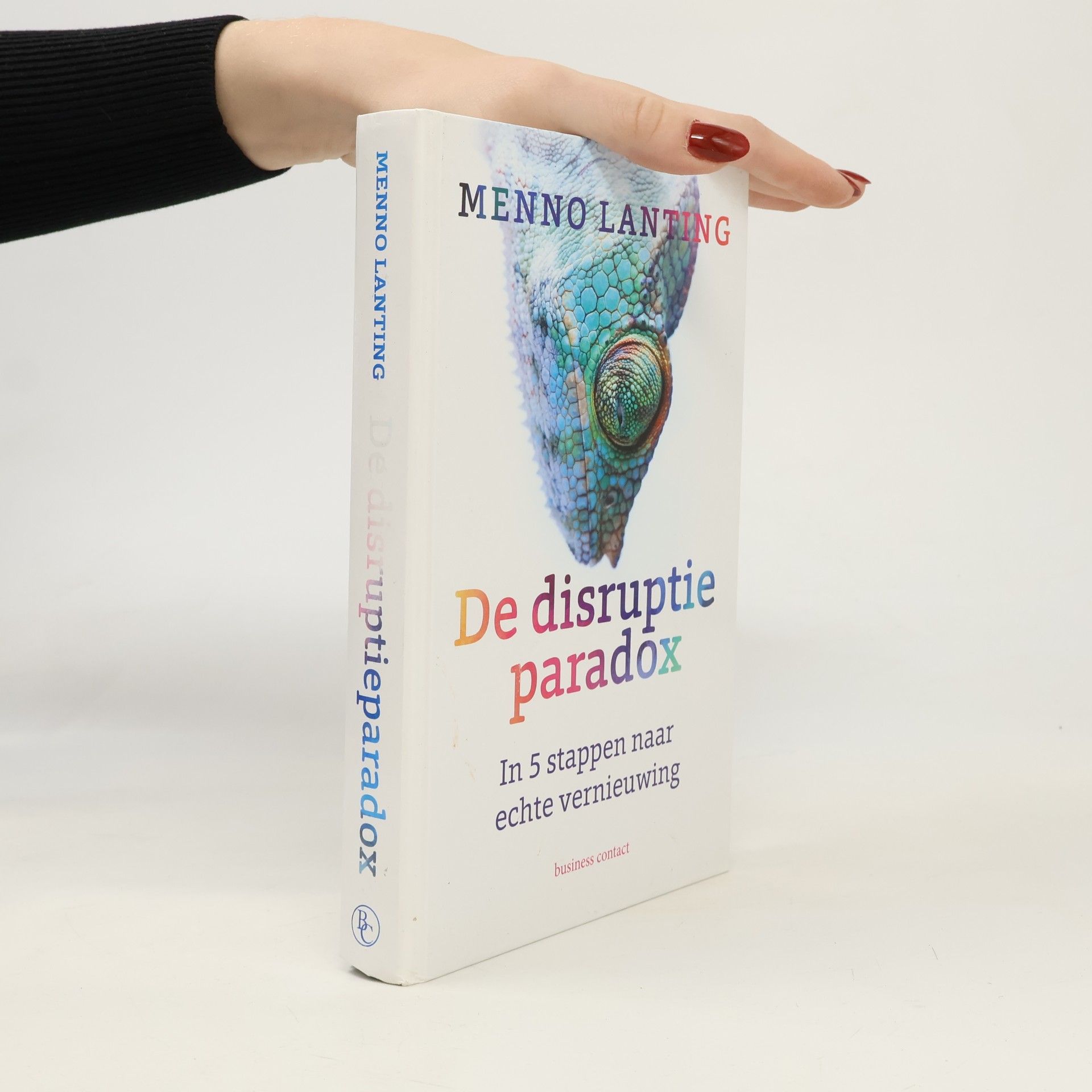 Menno Lanting De disruptieparadox