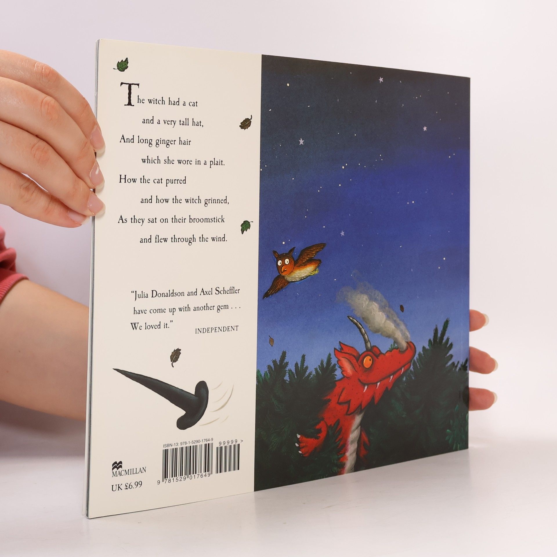Julia Donaldson Room on the Broom