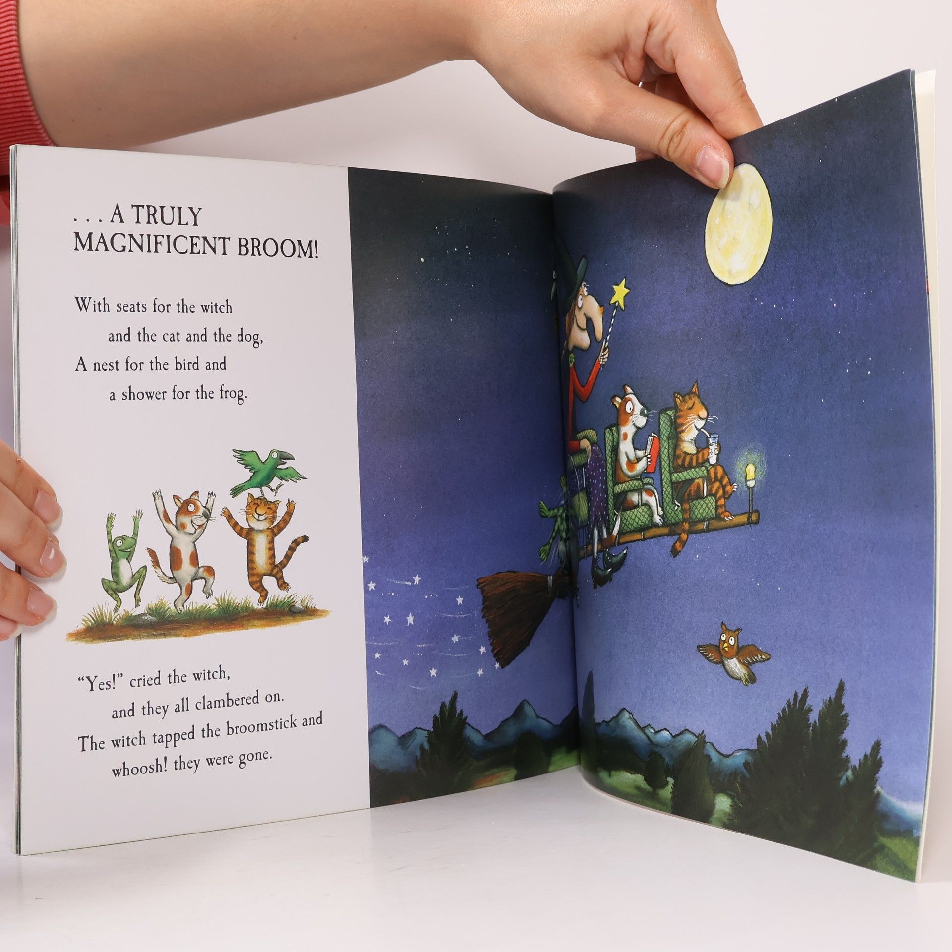 Julia Donaldson Room on the Broom
