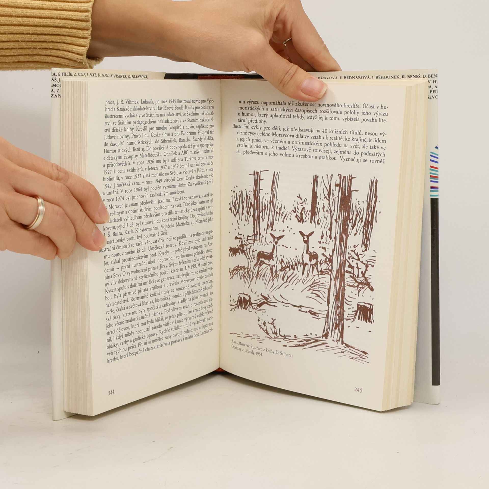 František Holešovský Čeští ilustrátoři v současné knize pro děti a mládež