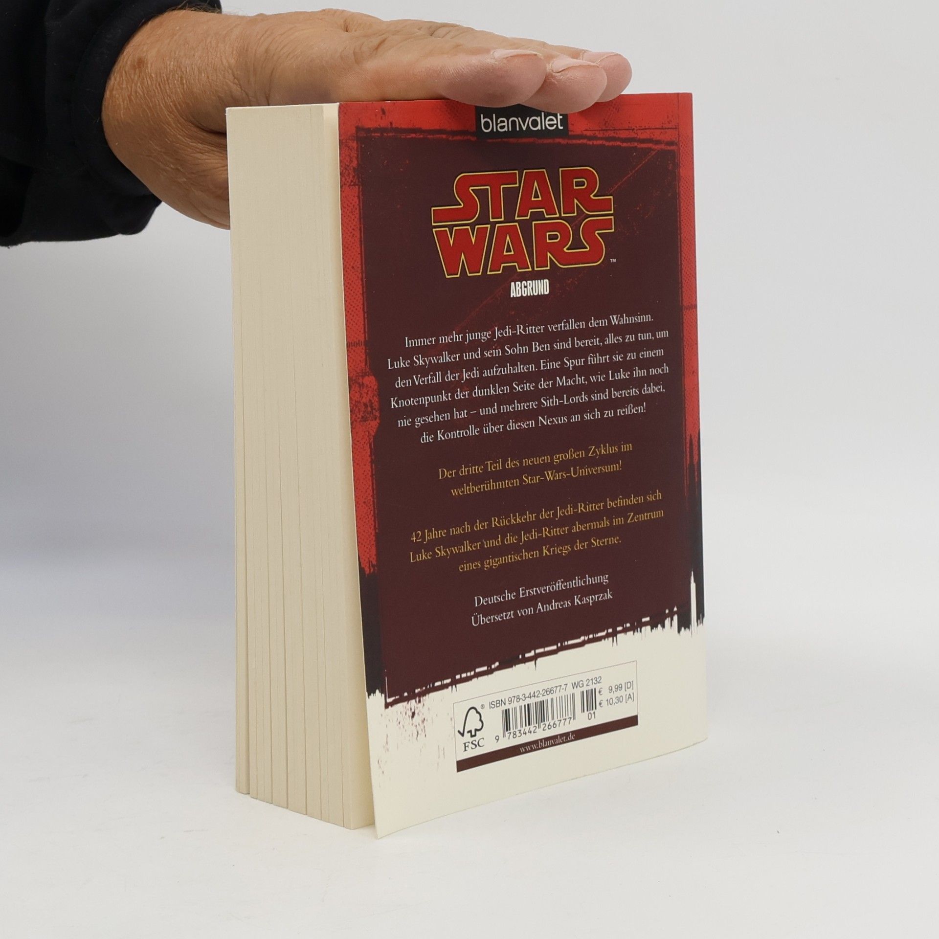 Troy Denning Star Wars, Das Verhängnis der Jedi-Ritter - Abgrund