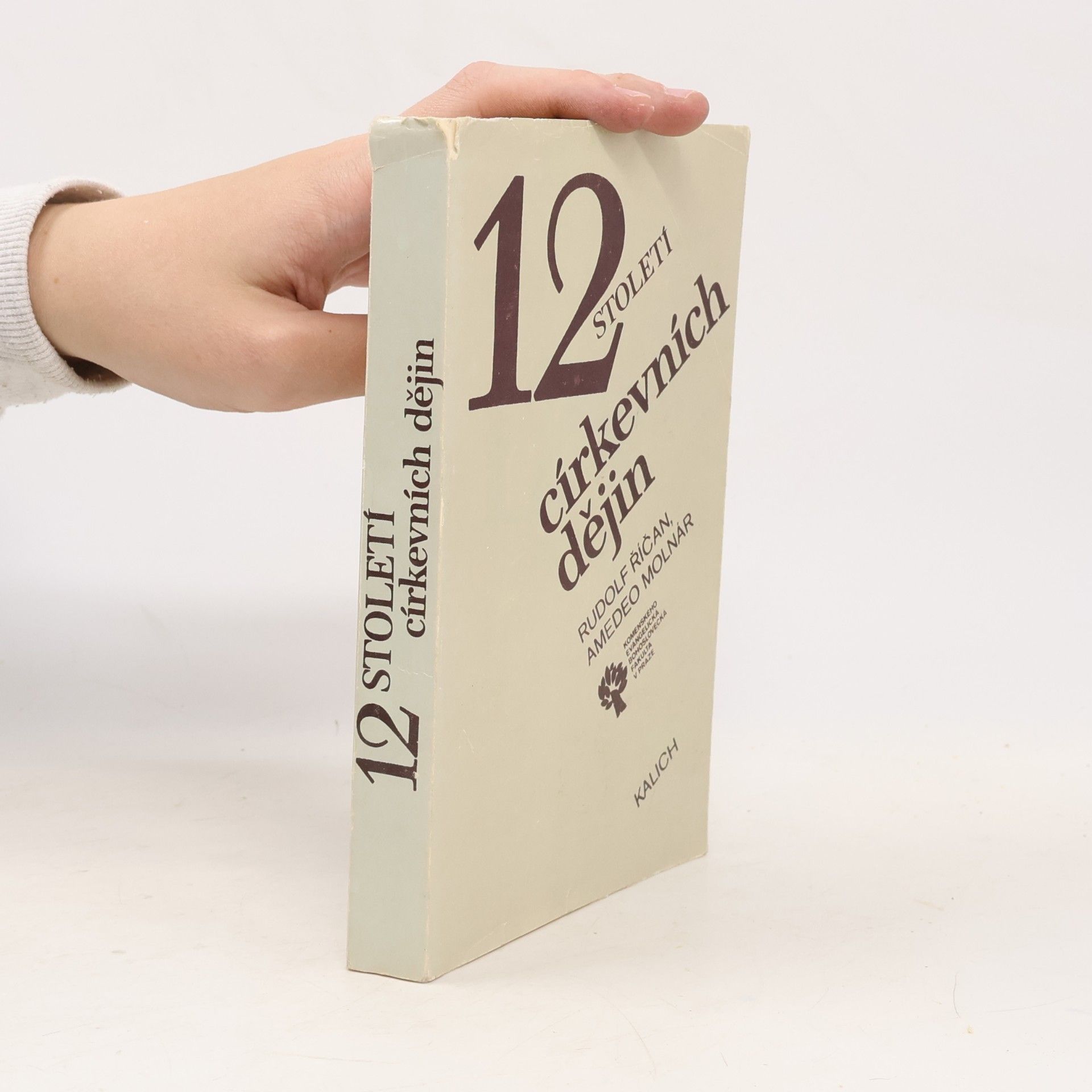 Amedeo Molnár 12 století církevních dějin
