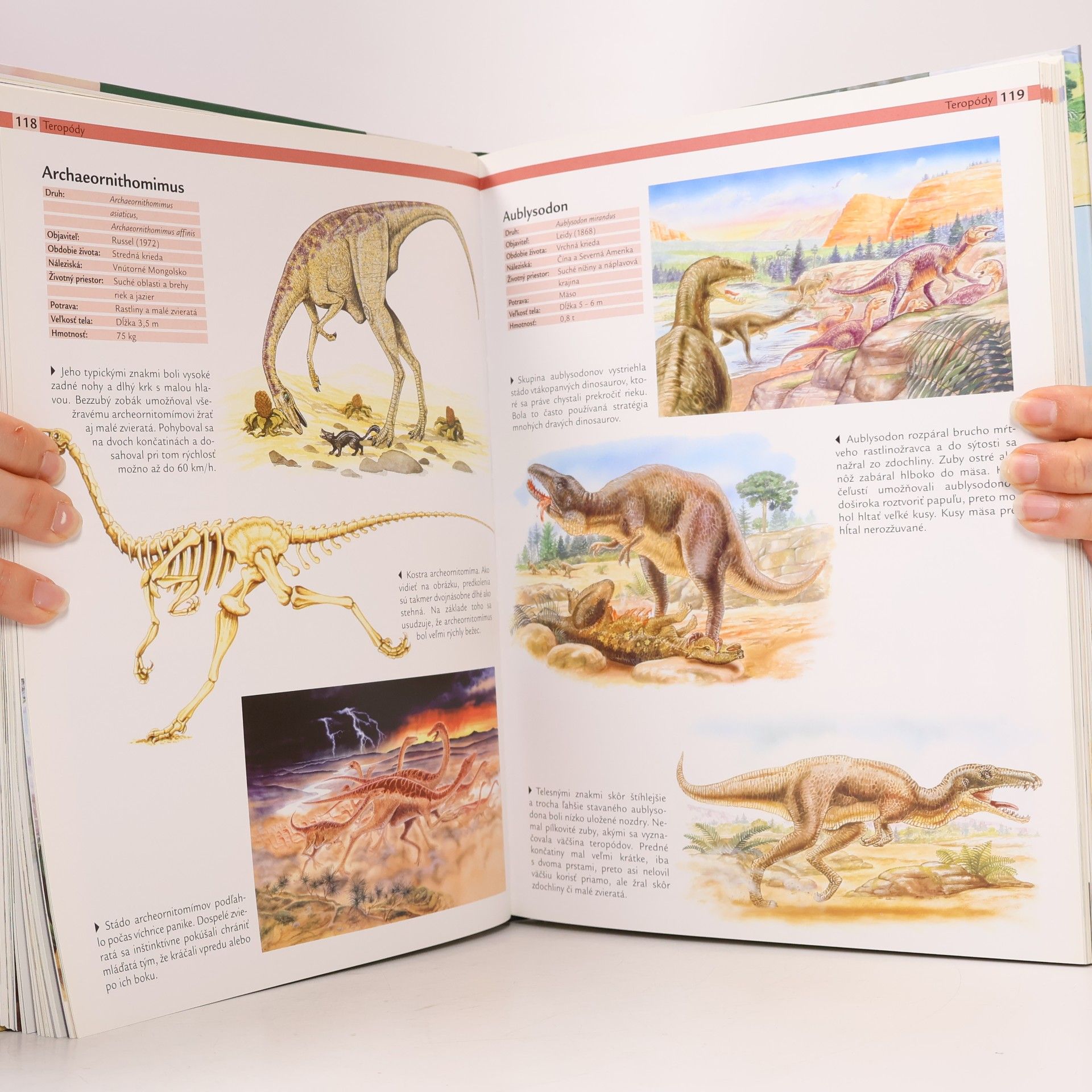 Helmut Werner 1000 Dinosaurov
