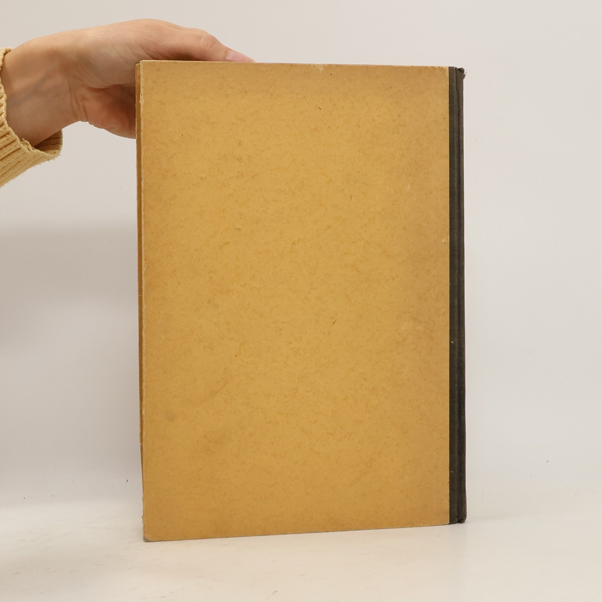 Wolter Mittelalterliche Holzplastik