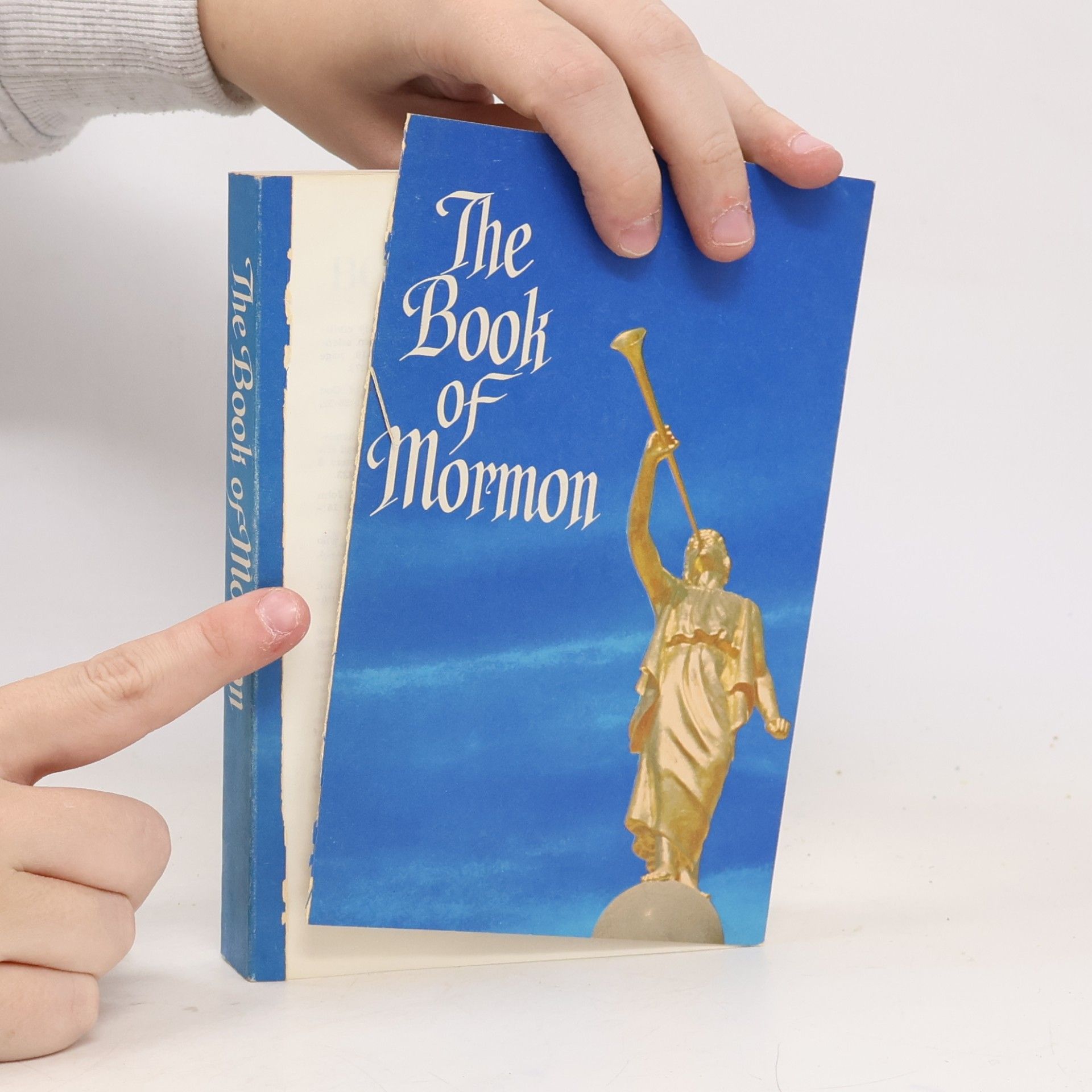 Kolektiv autorů The Book of Mormon