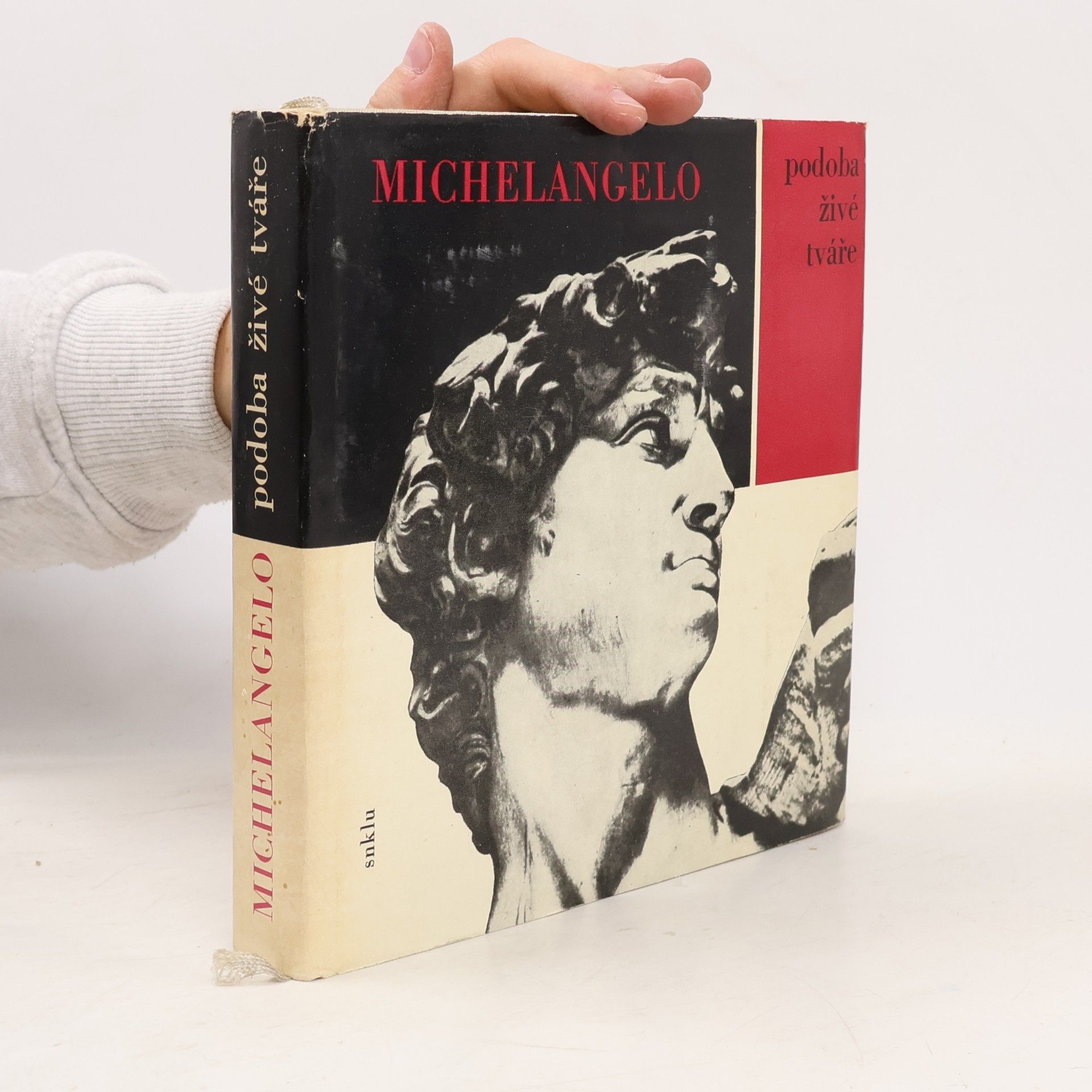Michelangelo. Podoba živé tváře