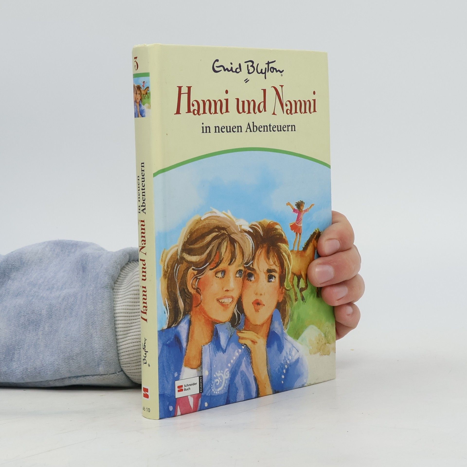Hanni und Nanni in neuen Abenteuern