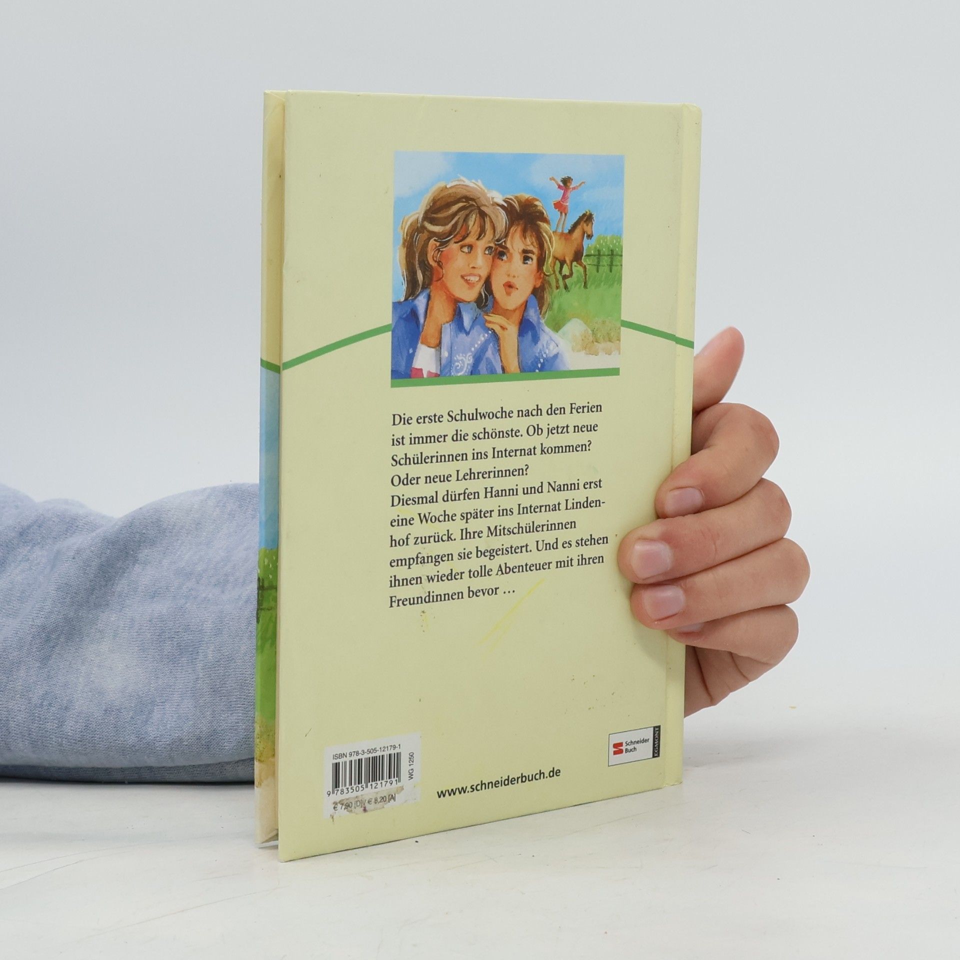 Enid Blyton Hanni und Nanni in neuen Abenteuern