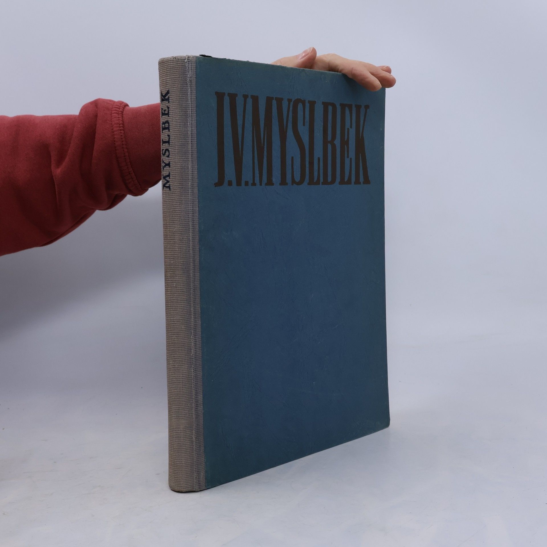 Autorenkollektiv J. V. Myslbek
