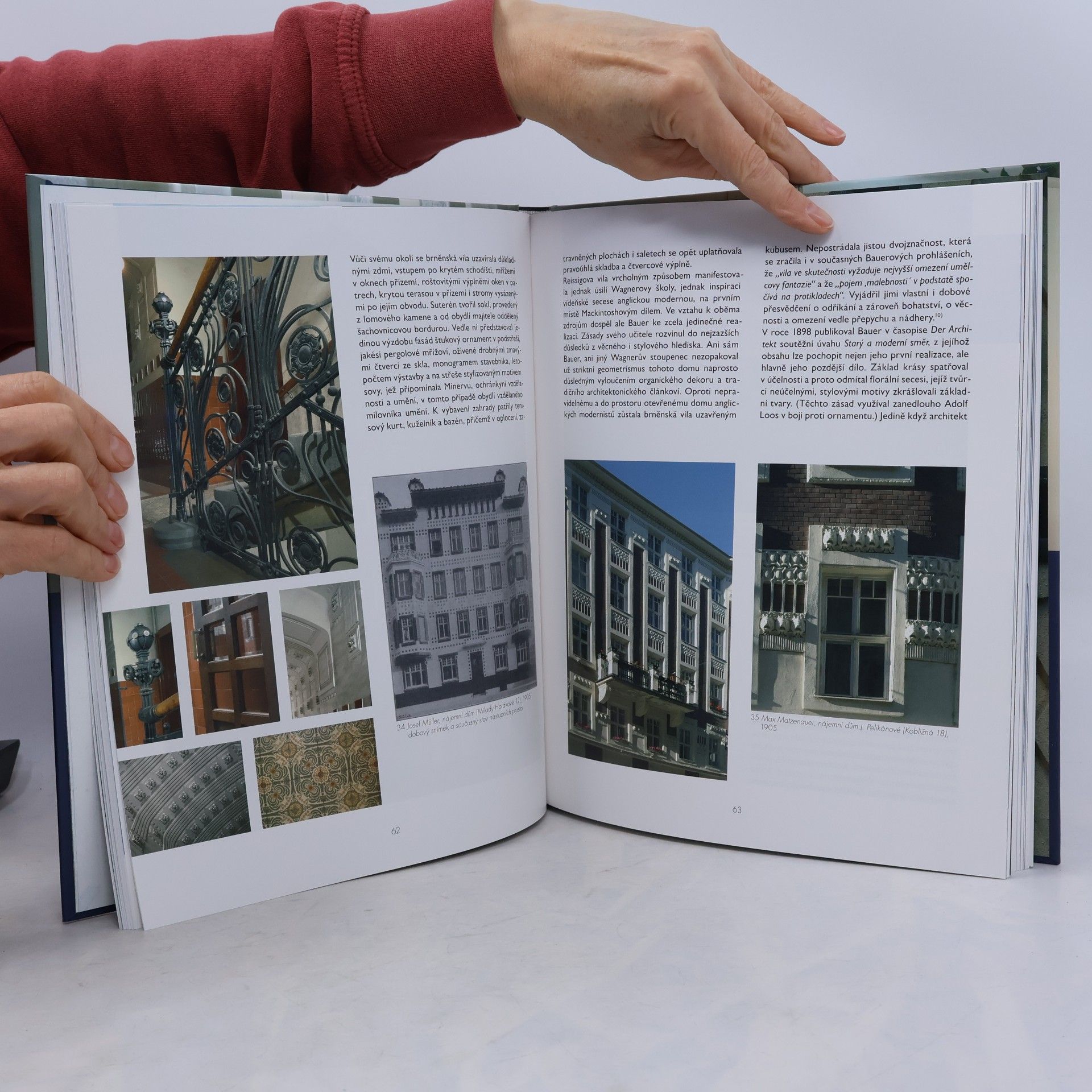 Jan Sedlák Brno secesní : deset kapitol o architektuře a umění kolem roku 1900
