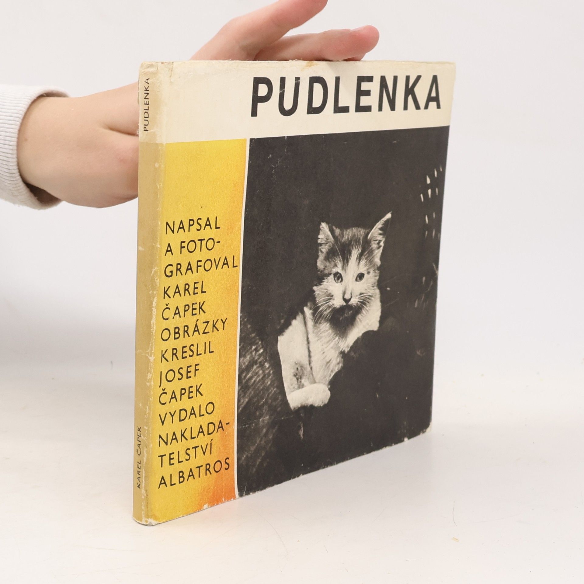 Pudlenka